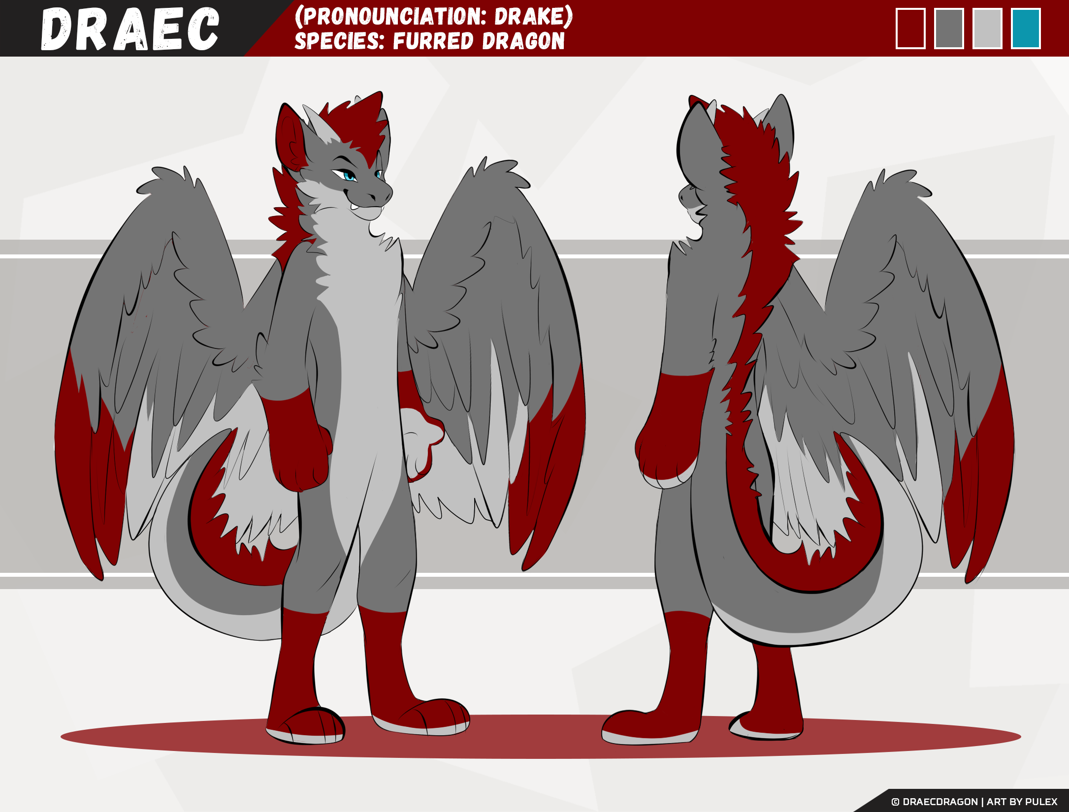 DraecRef.png