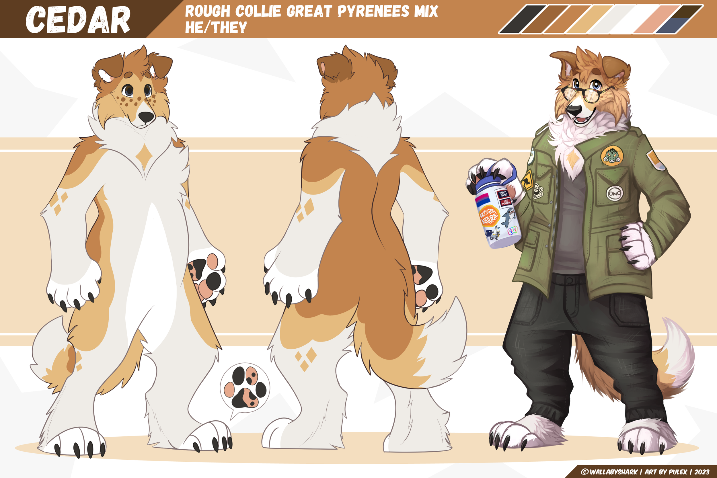 wallabyshark-cedar-ref-2023-03-05_compressed.png