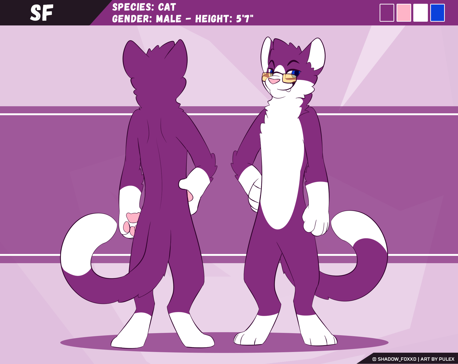 sf_reference.png