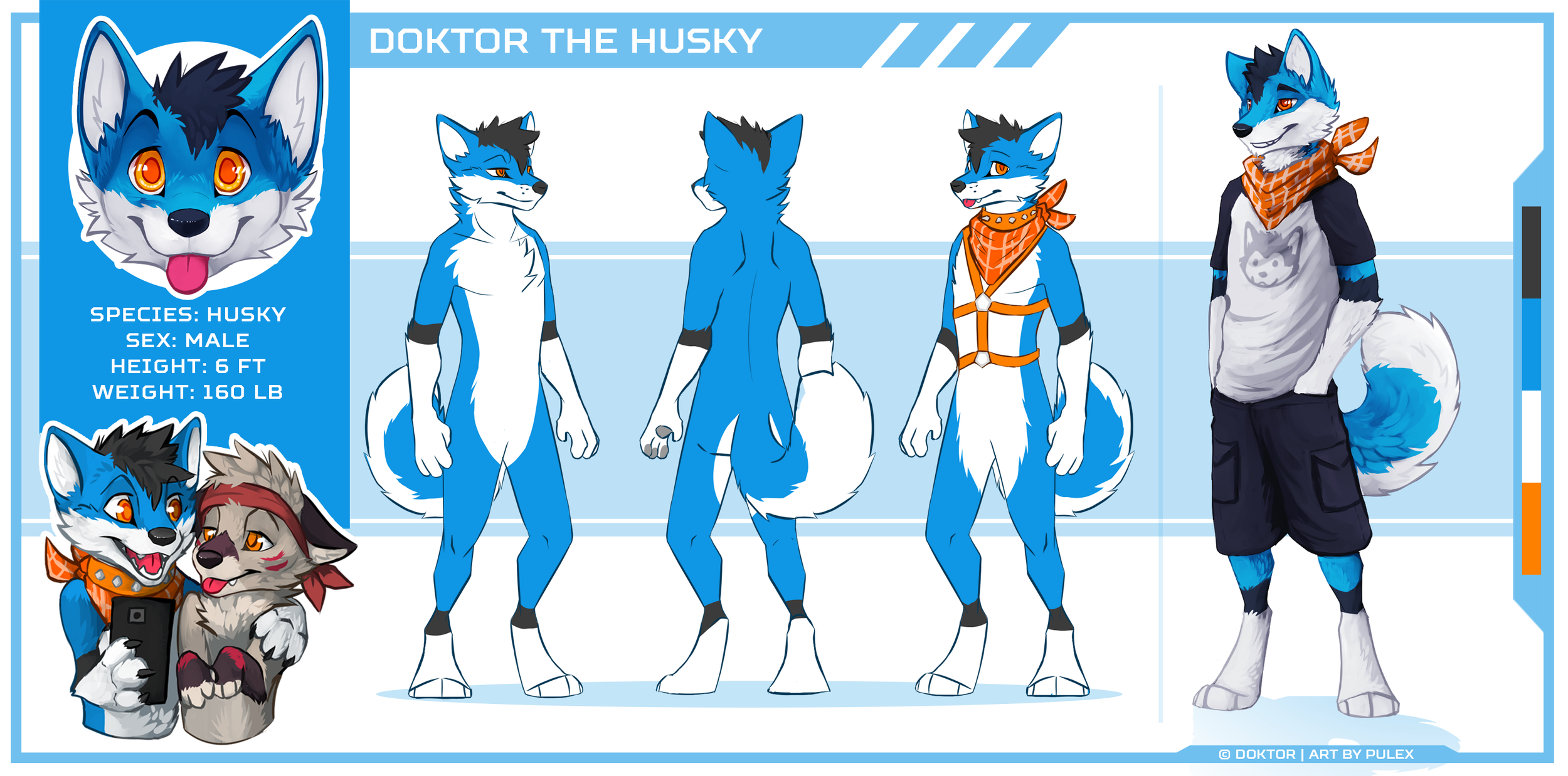doktorref-v2.png