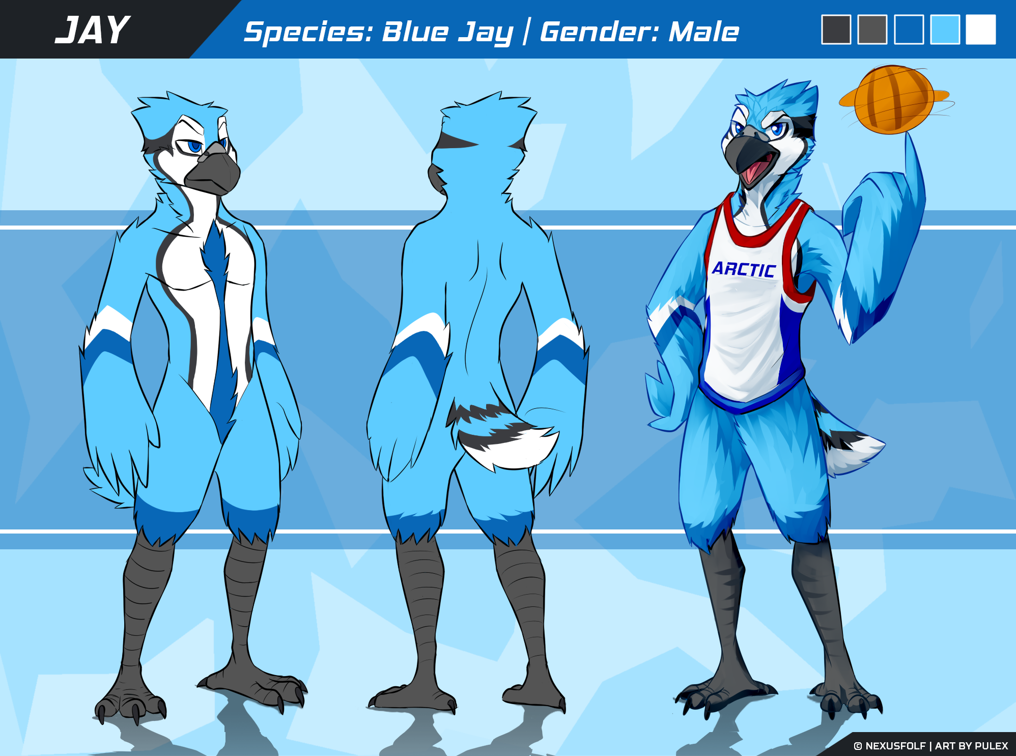 jay-reference.png