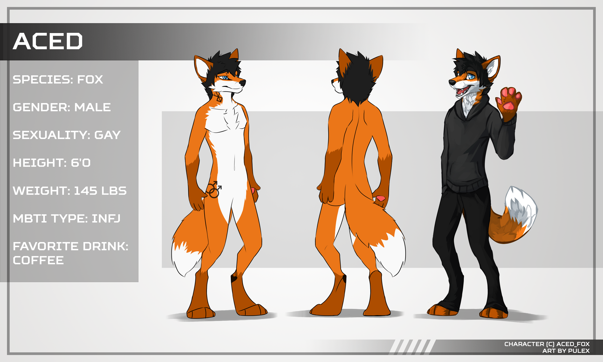 [aced]ref.png
