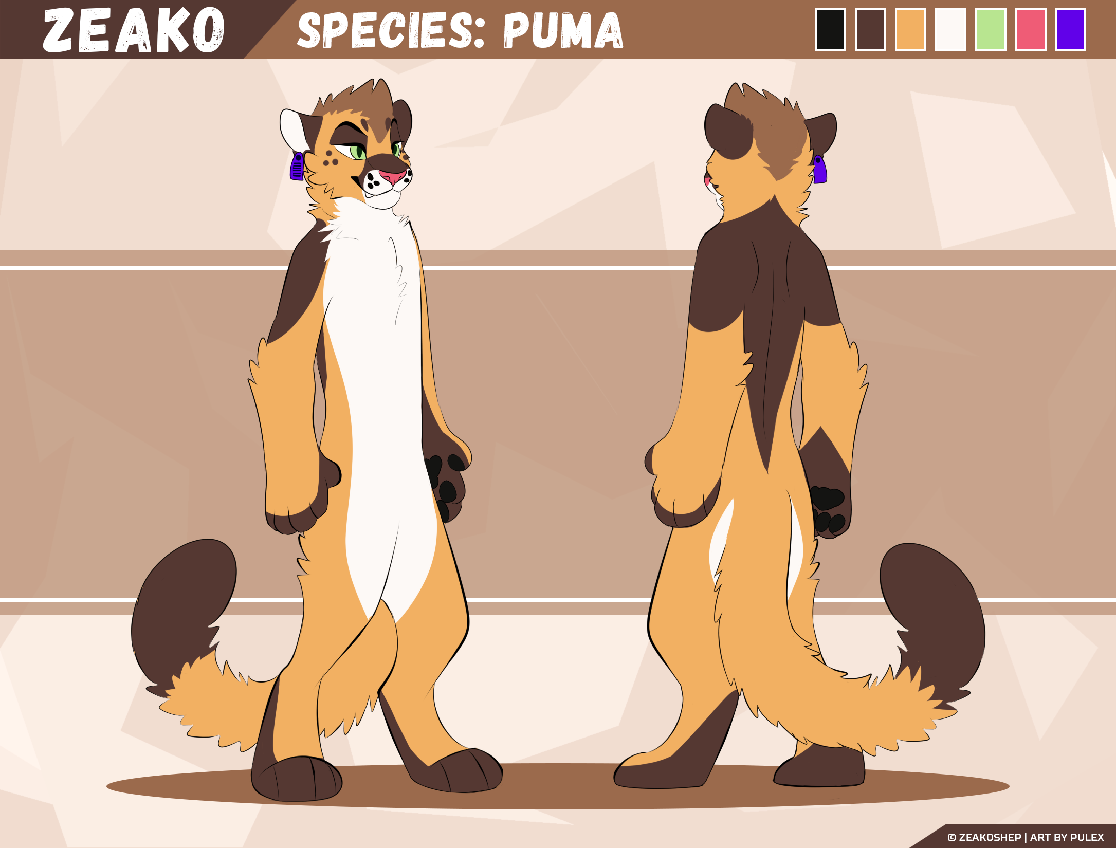 zeako_puma_ref.png