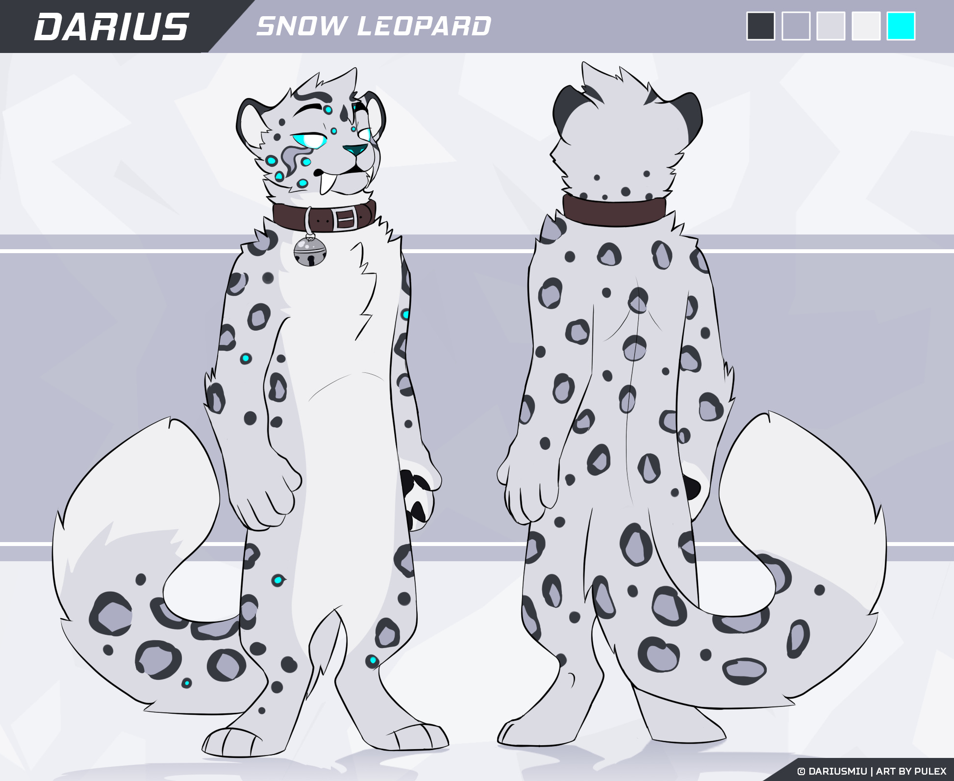 basic-snep-ref.png