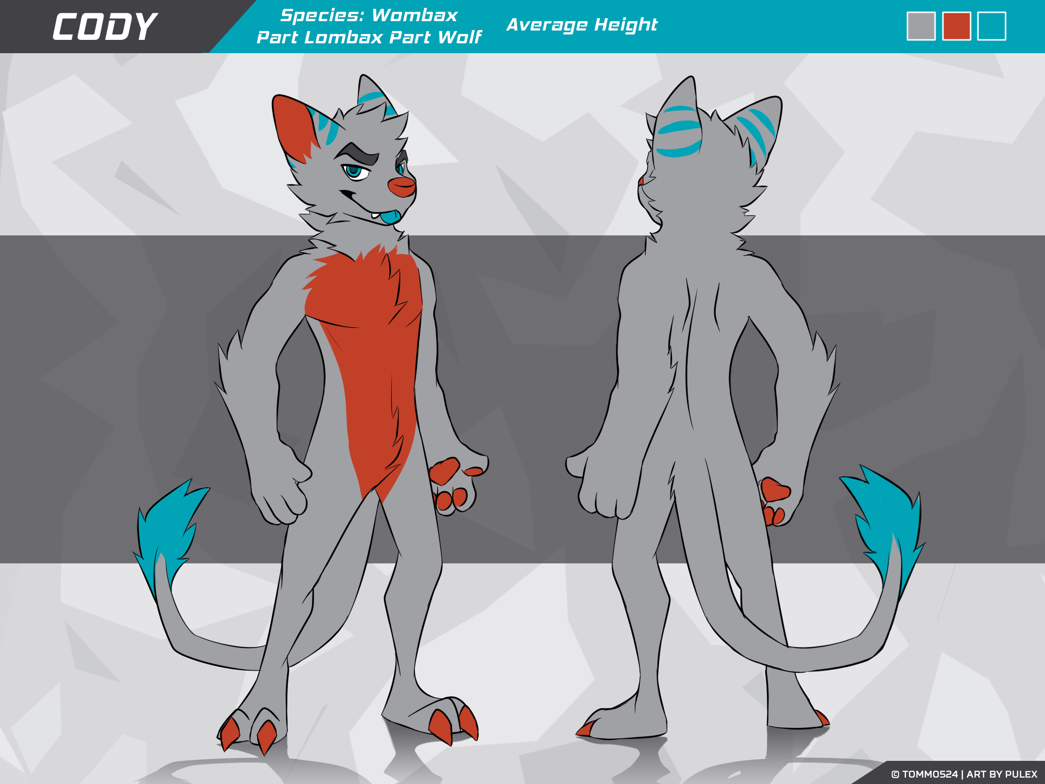 cody-ref.png