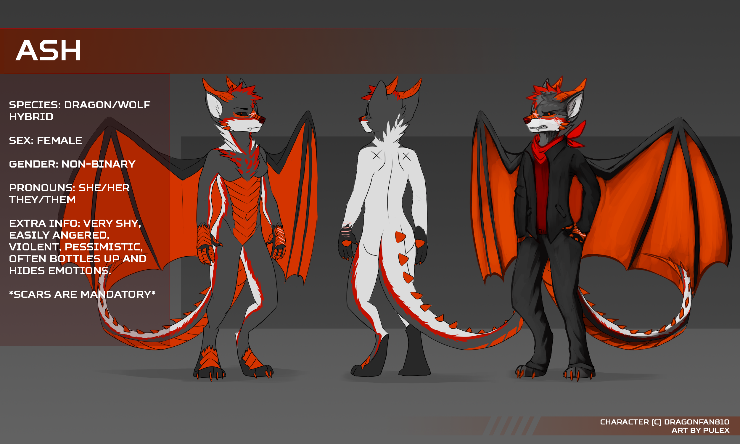 [ash]ref.png