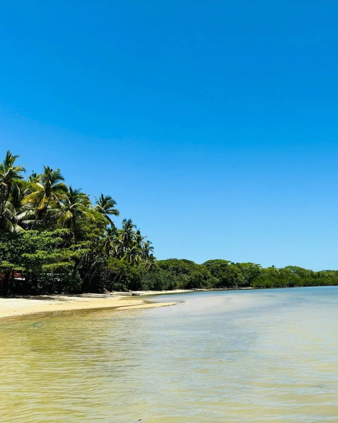 TNG Fiji Incinerator