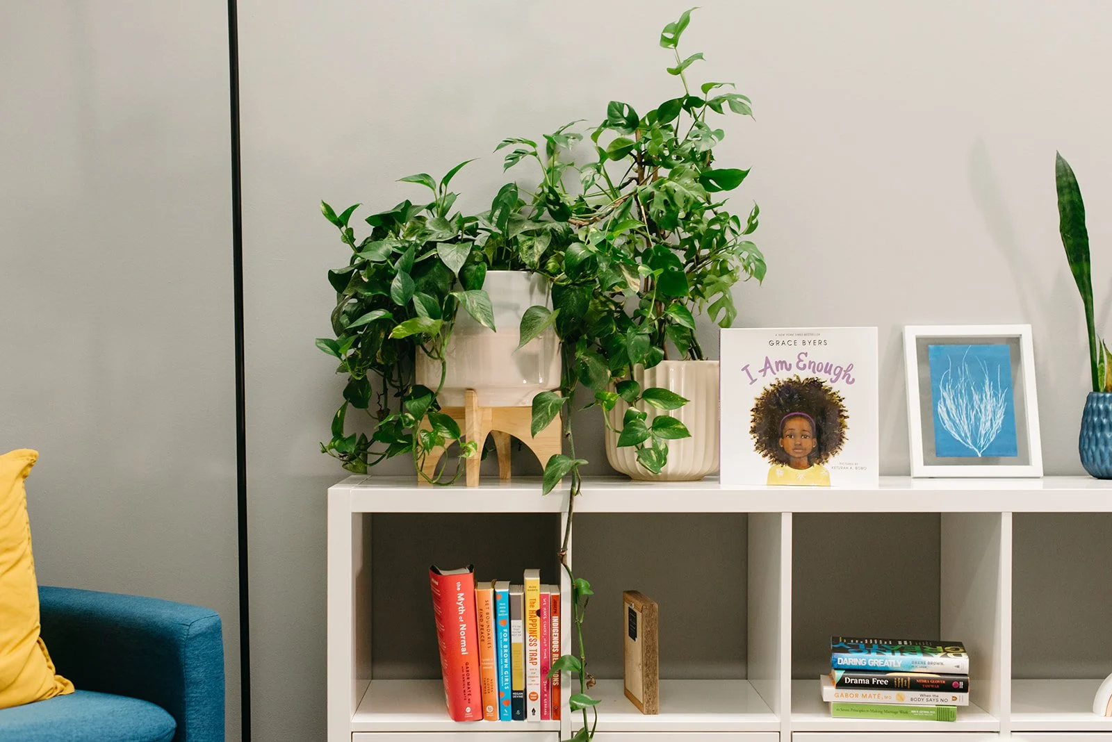 Digital photo of a bookshelf with plants on top at Riverwest Therapy Collective