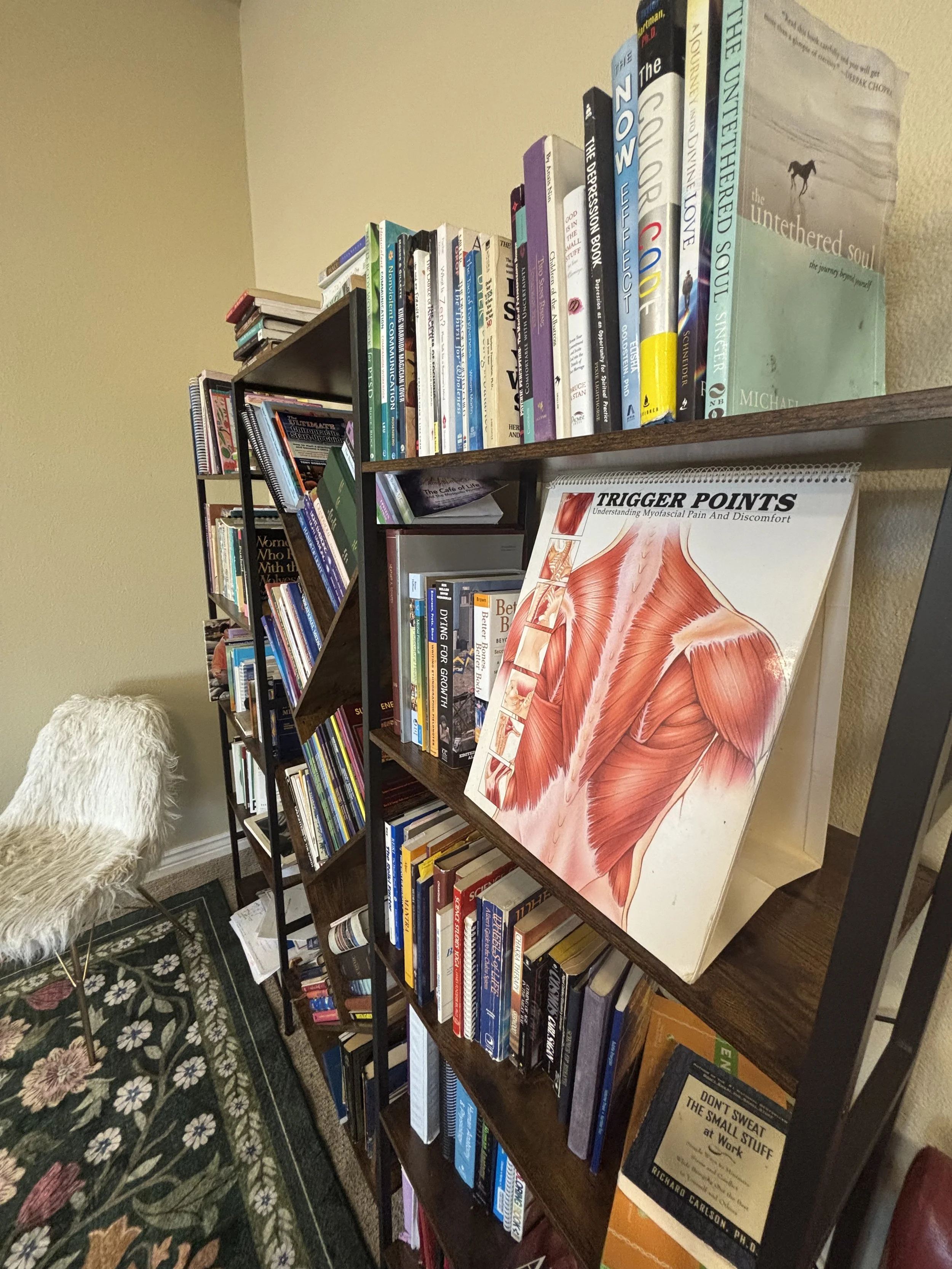 A bookshelf filled with books, with a focus on a large anatomy chart titled 'Trigger Points' leaning against the shelf. There is also a furry white chair and a patterned rug visible in the room.