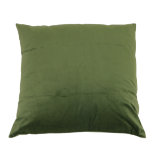 Green Decorative Pillow