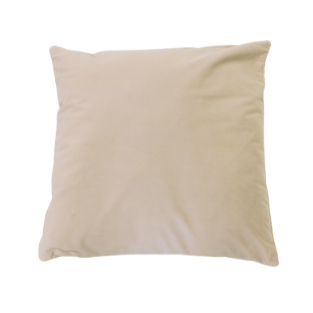 White Velvet Decorative Pillow
