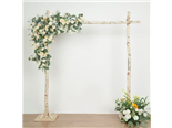 Birch Arch