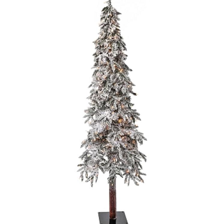 6' Twinkle Alpine