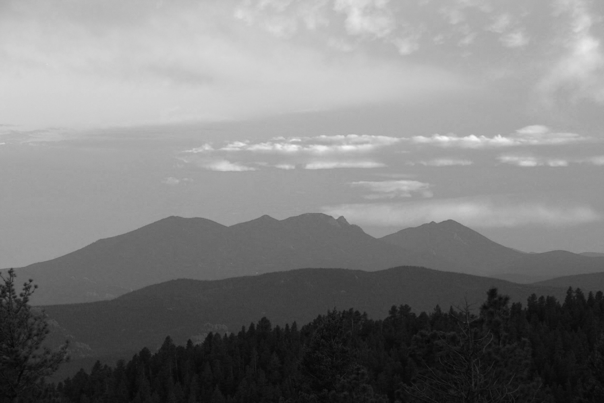 Black and white photo of mountain range with forested foreground and cloudy sky.