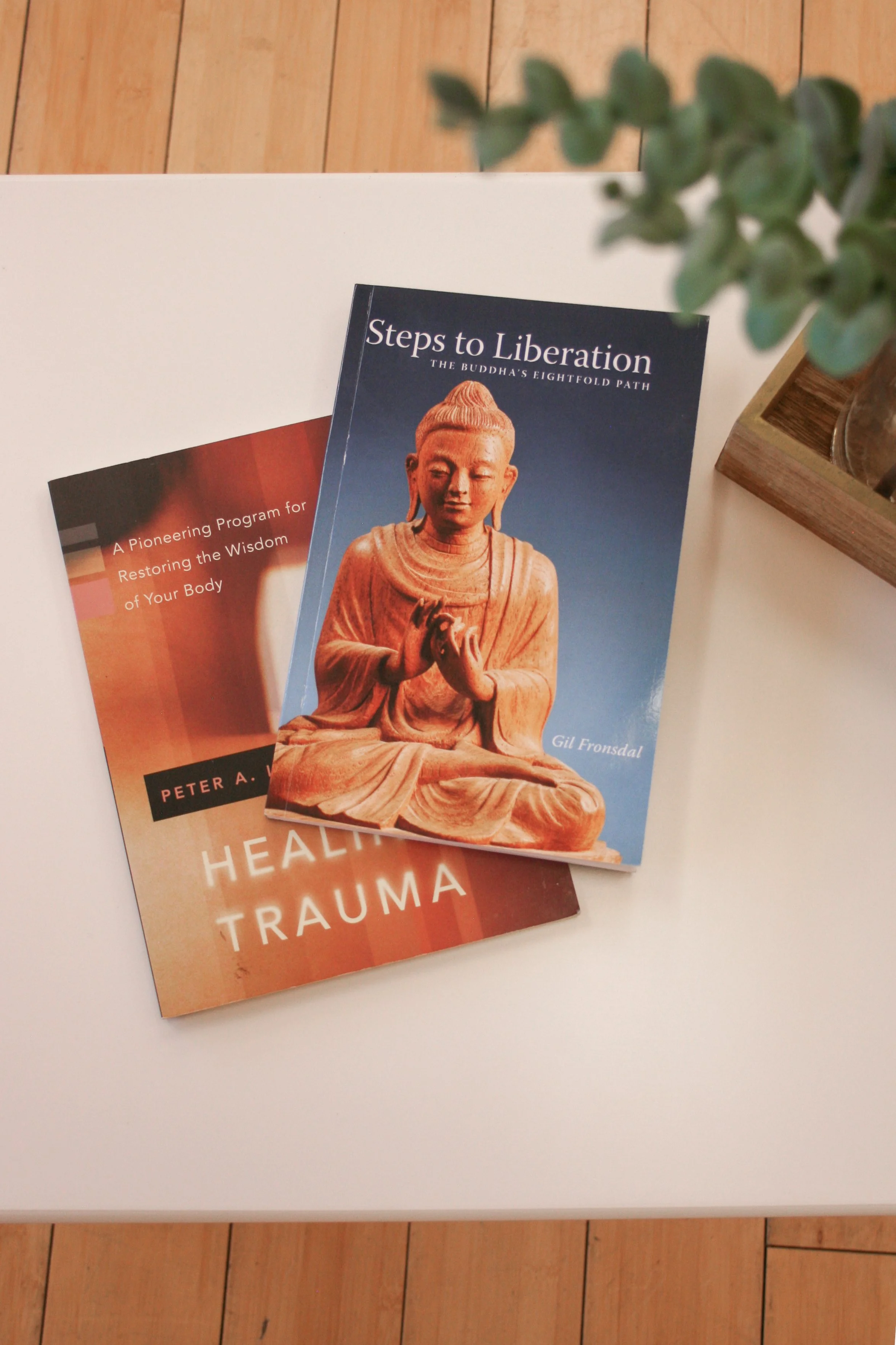Two books placed on a white table, with a plant partially visible in the upper right corner. The top book is titled 'Steps to Liberation' with a cover image of a seated sculpture of Buddha. The bottom book is titled 'Healing Trauma' with a cover featuring warm colors and abstract shapes.