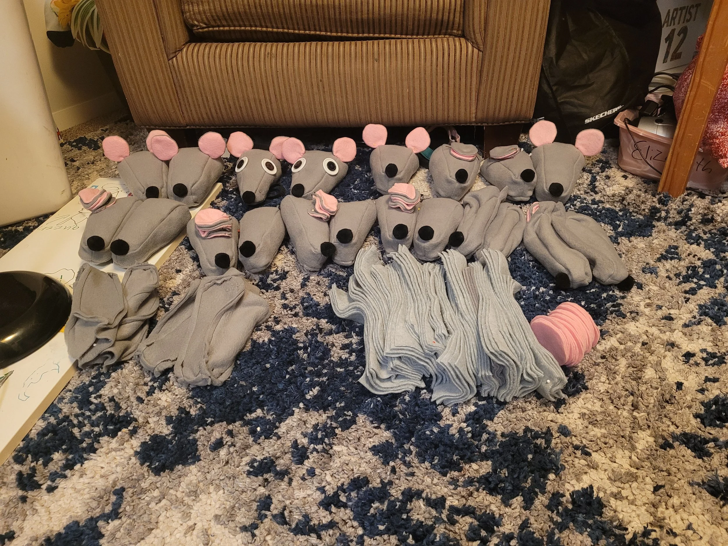 Second photo for progress on the number of rats constructed.