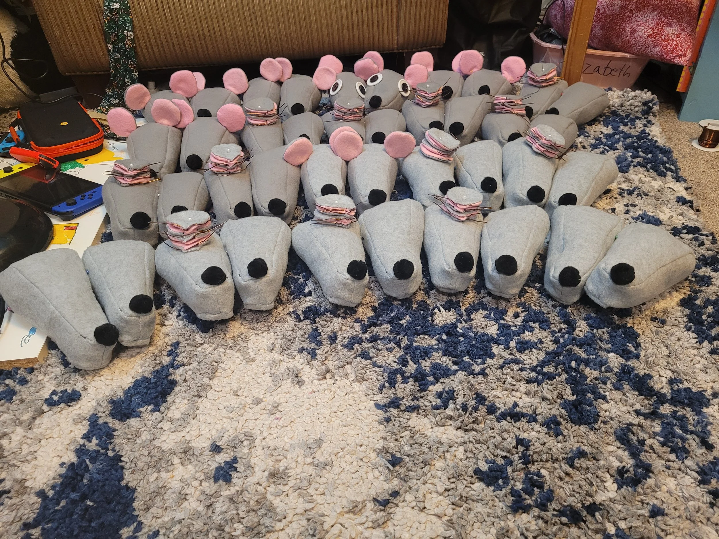 Third photo for progress on the number of rats constructed.