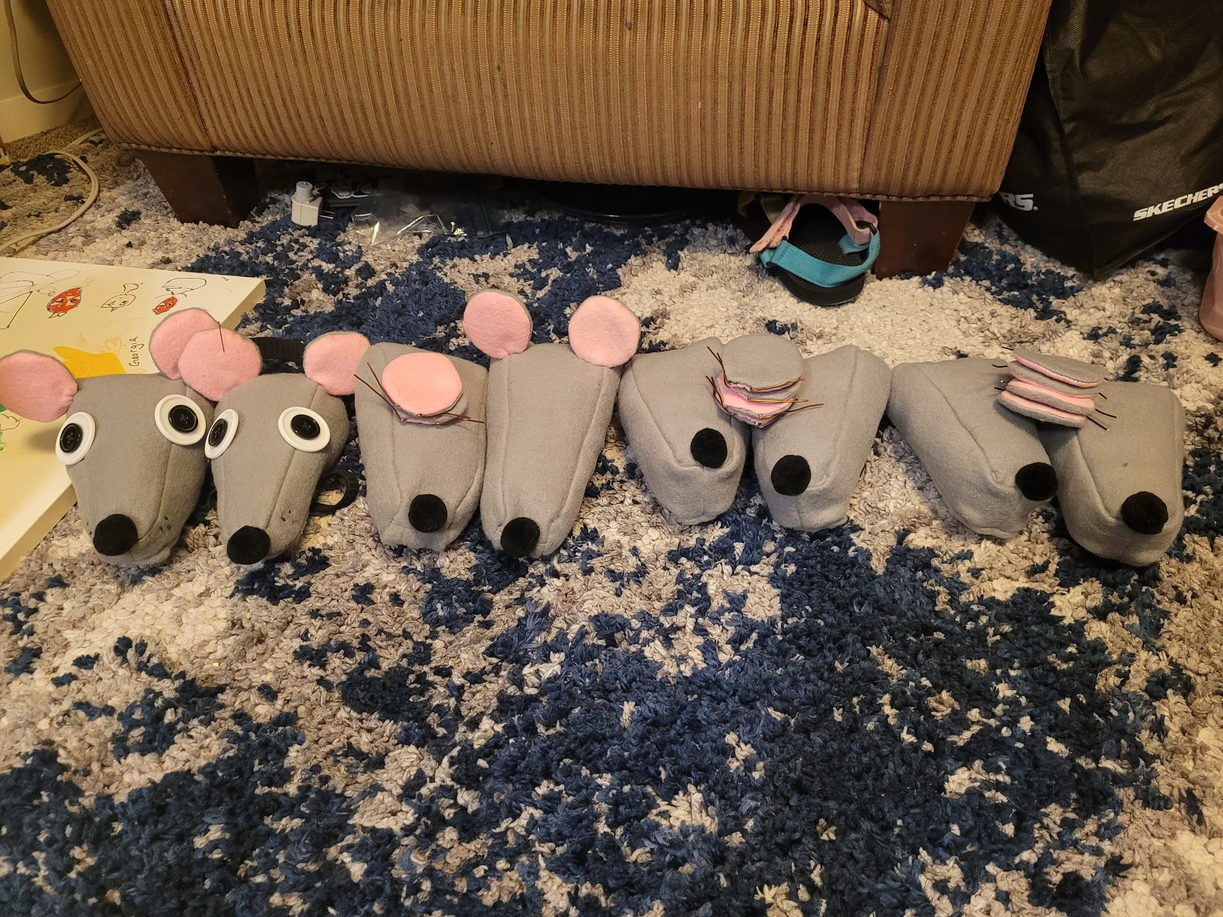 First photo for progress on the number of rats constructed.