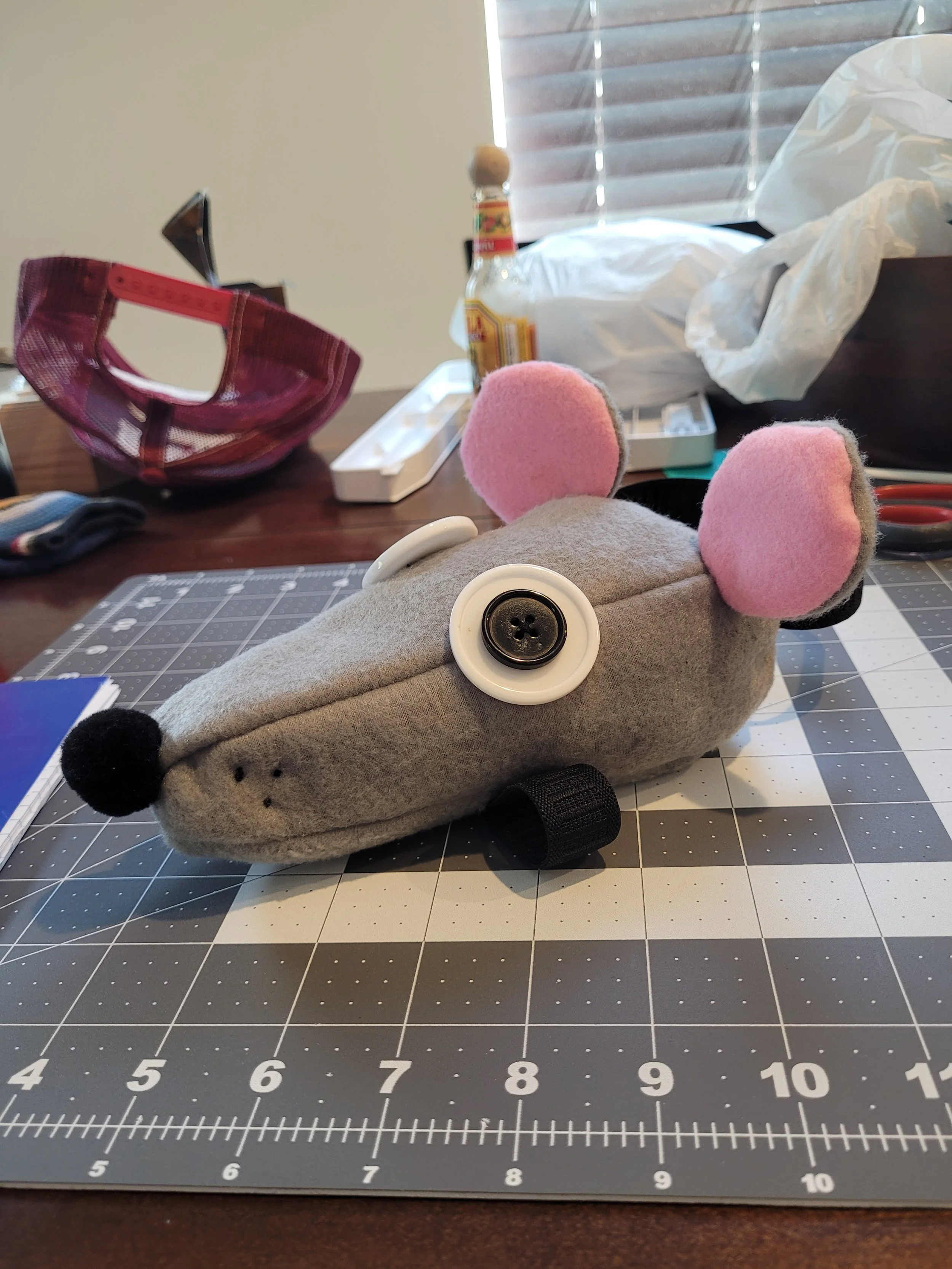Timmy as viewed from the side.