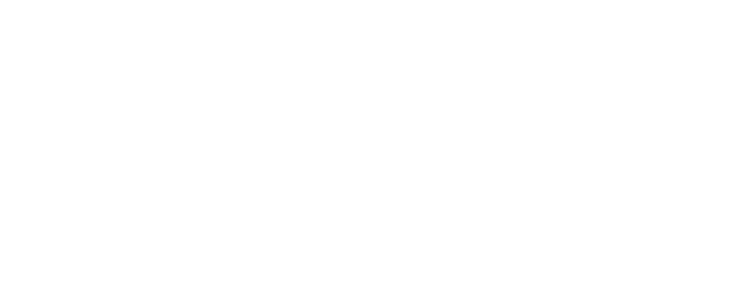 forgetful-wiz-logo-white.png
