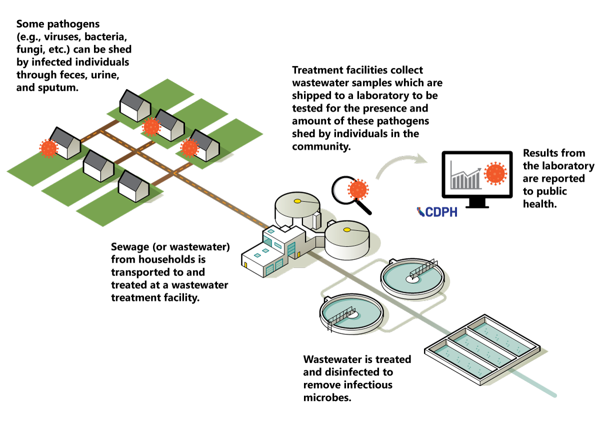 A graphical schematic of wastewater treatment process and corresponding wastewater surveillance steps