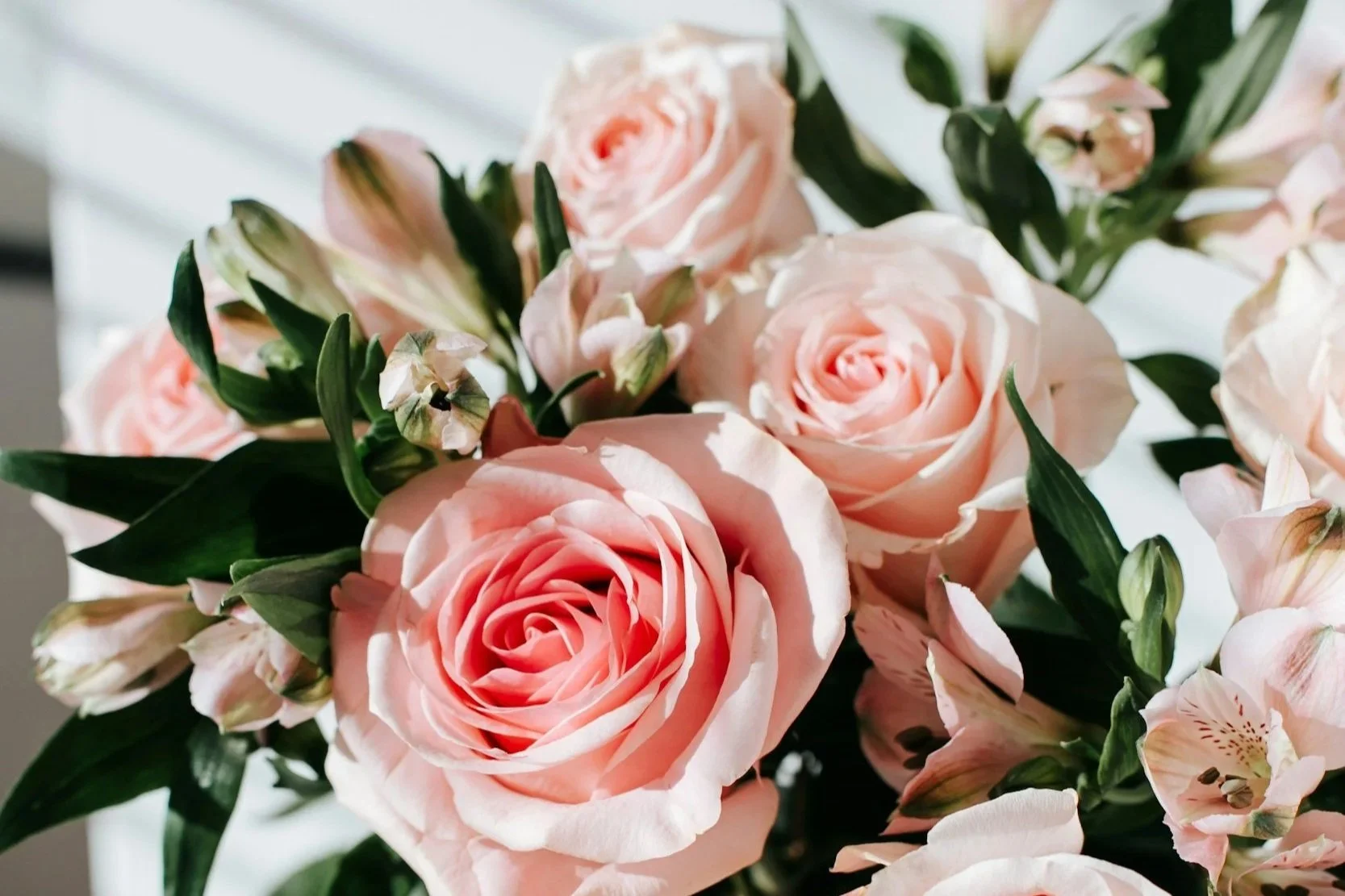 Love Bud Floral &amp; Gift