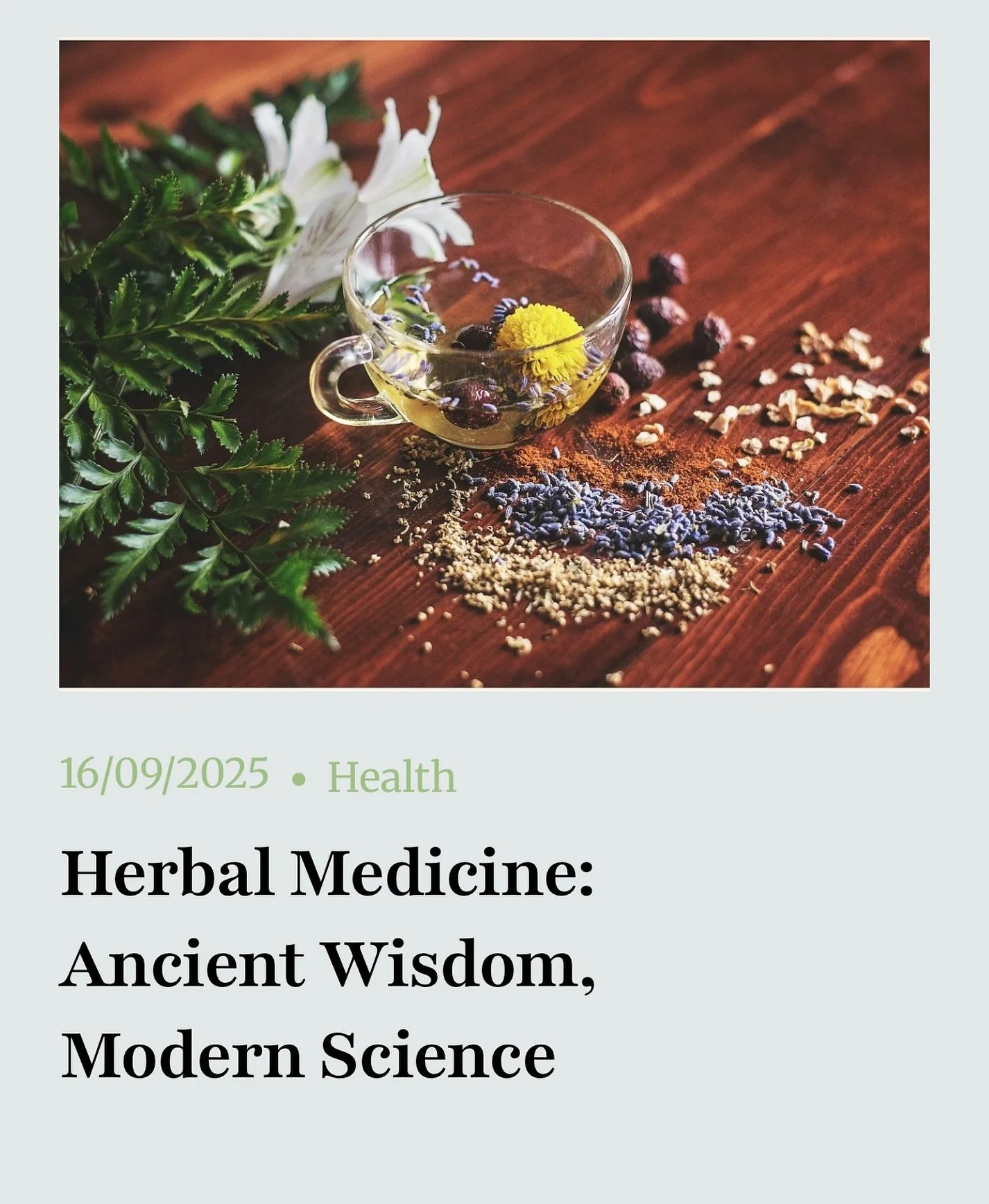 👀 New Blog post! 👀 
🪴 This week we’re talking about herbal medicine and how ancient wisdom is being met by modern science 🔬🧬 
🔗 Link in bio and direct link in story! 
#herbalmedicine #herbalism #naturalmedicine #herbs #healthcoach #her