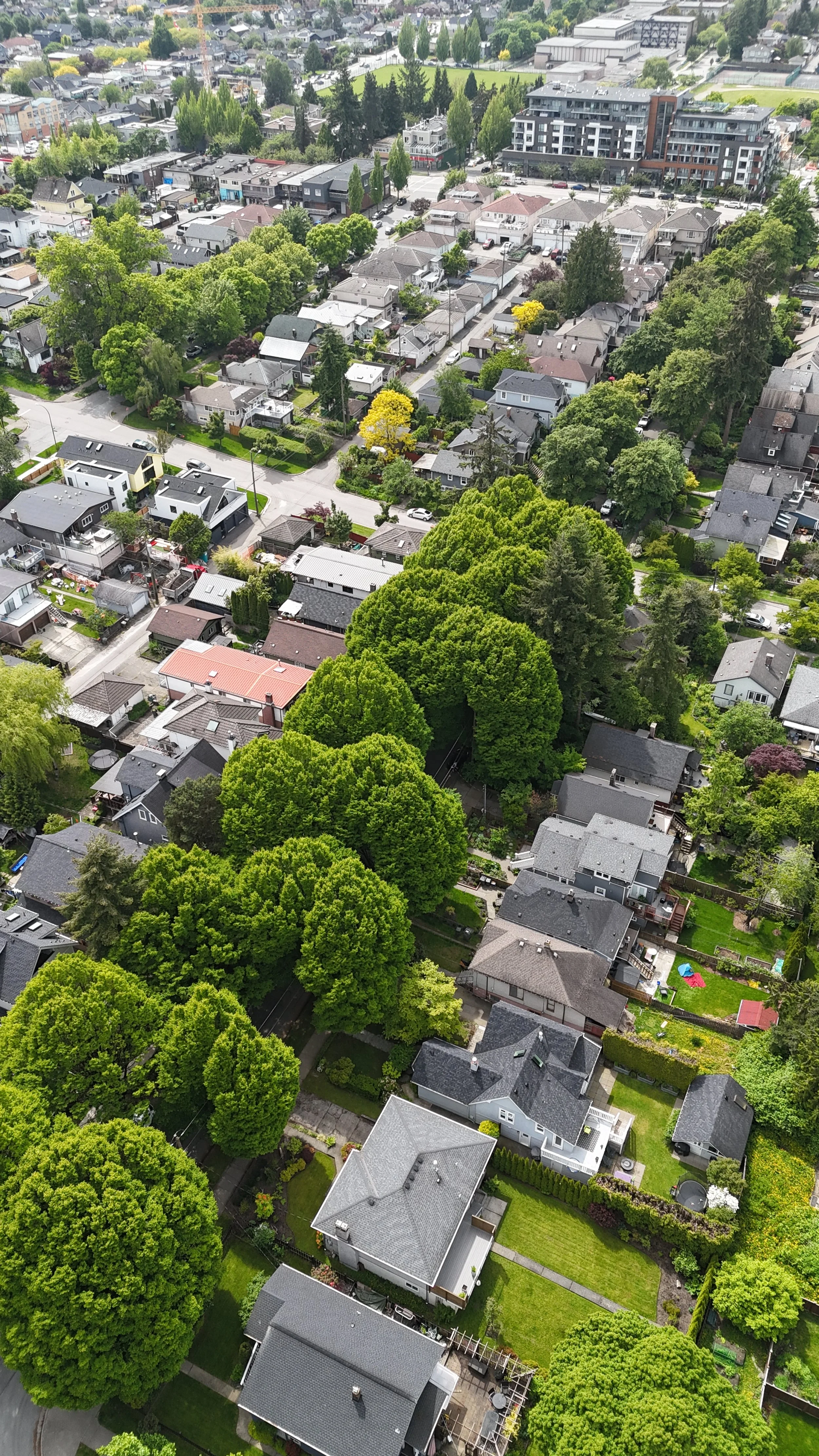 DJI_20250523144417_0164_D.JPG