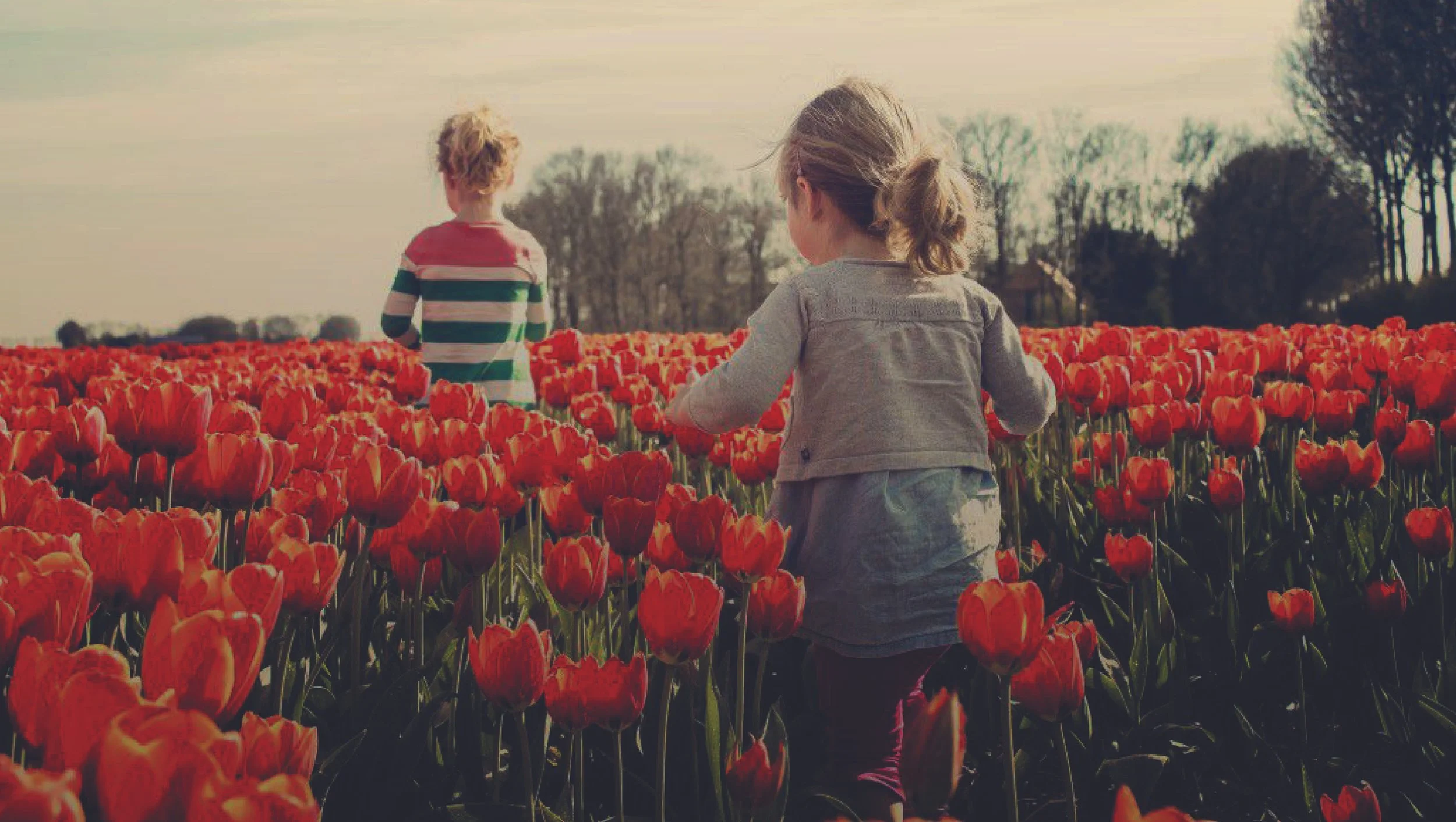 The Power of Spiritual Fathers and Mothers