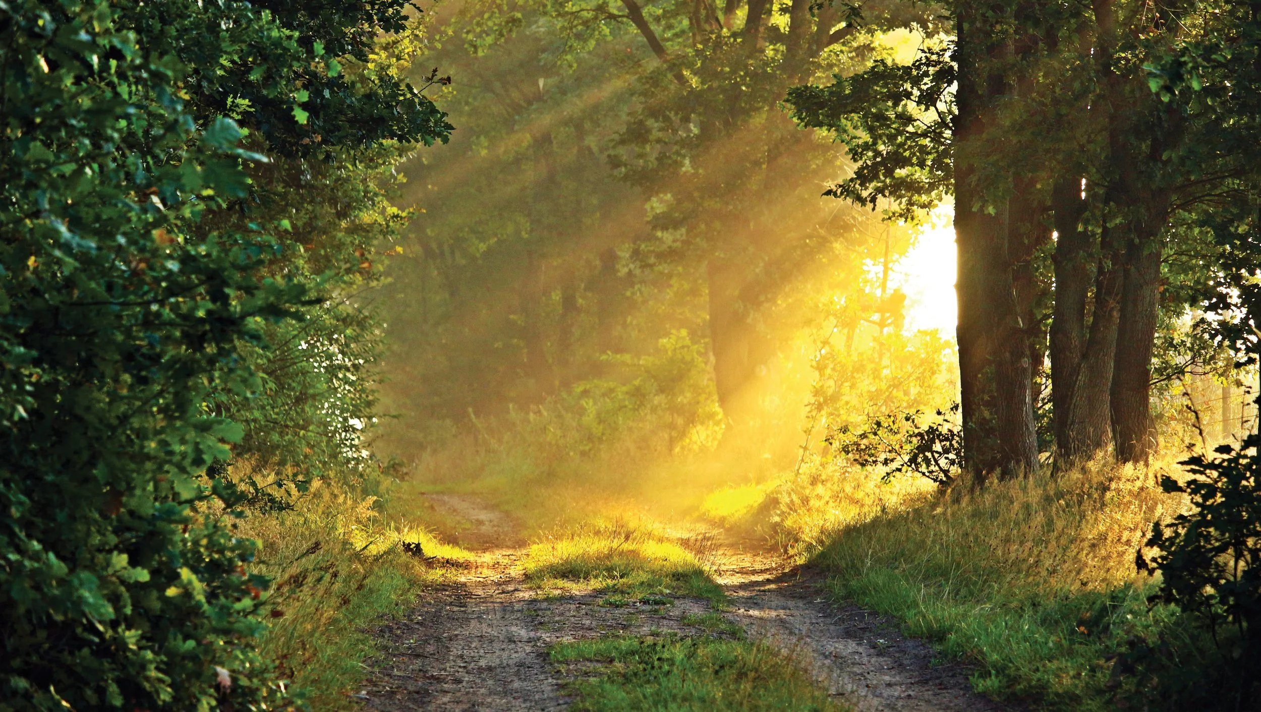 The Natural and The Spiritual