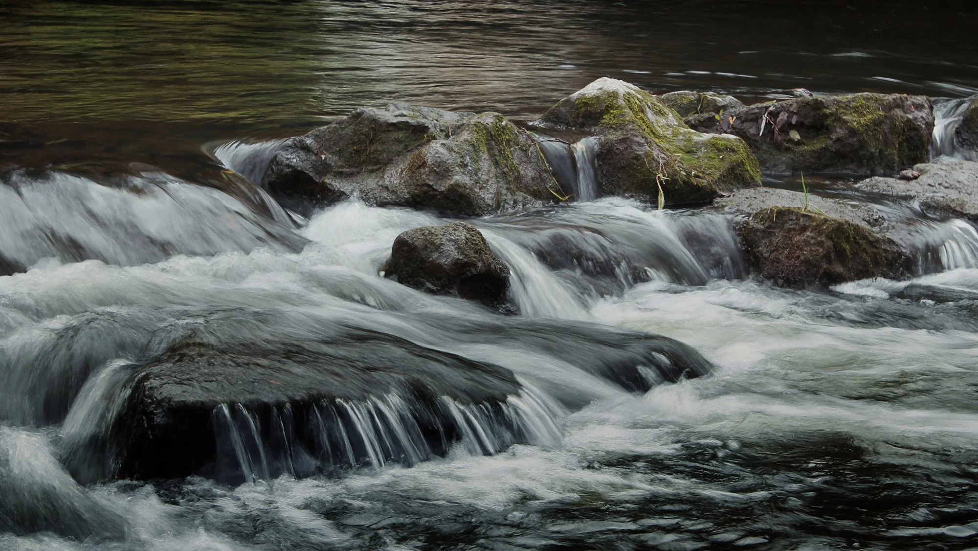 Overflowing With Hope
