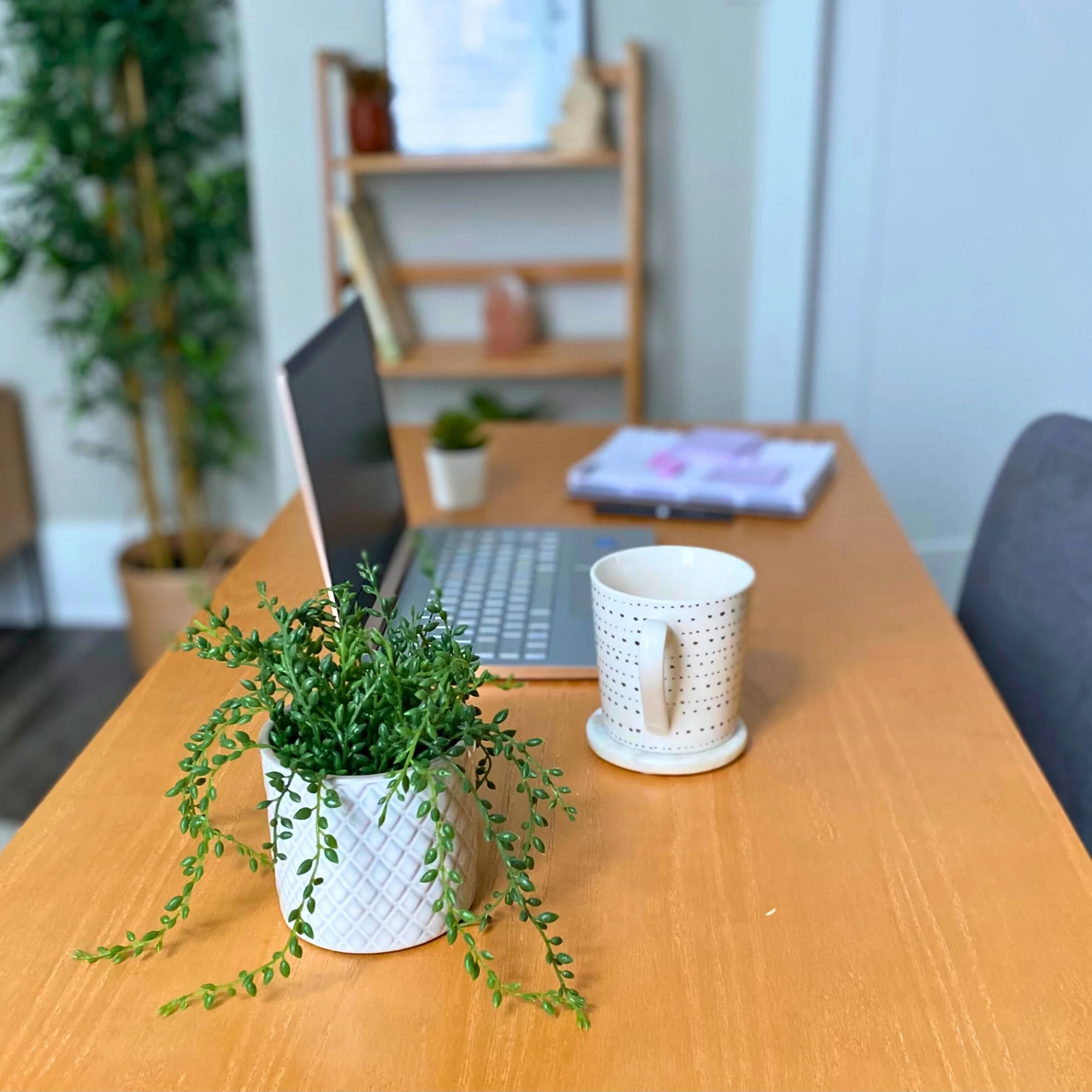 Cozy Blog Marketing: How to Grow Your Blog Without the Hustle