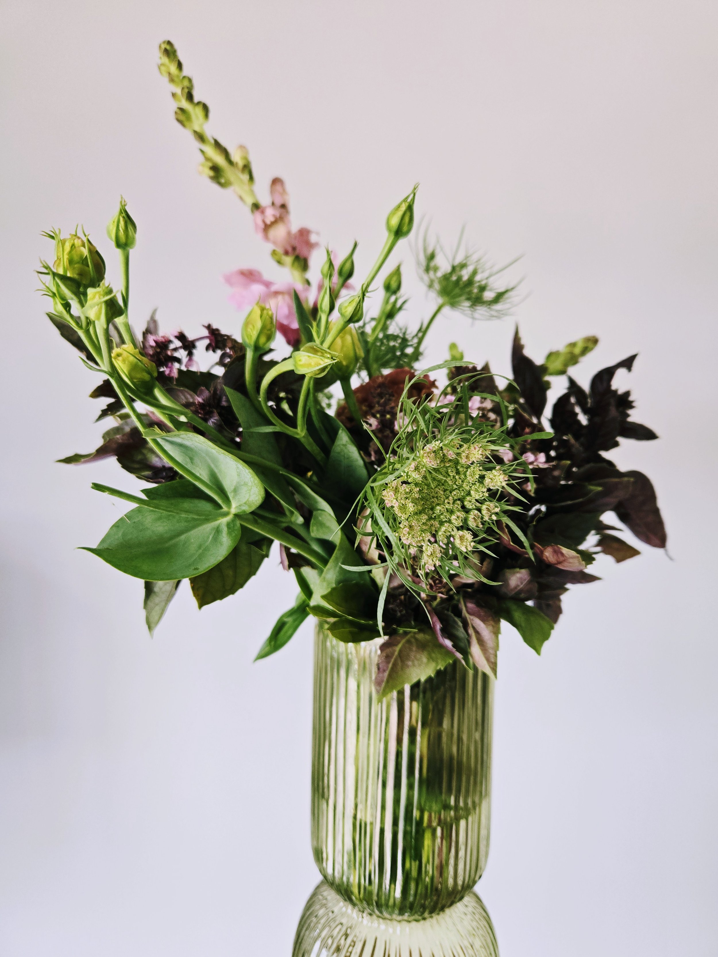 The Bloom Series | Sunday, August 30 | 11 AM