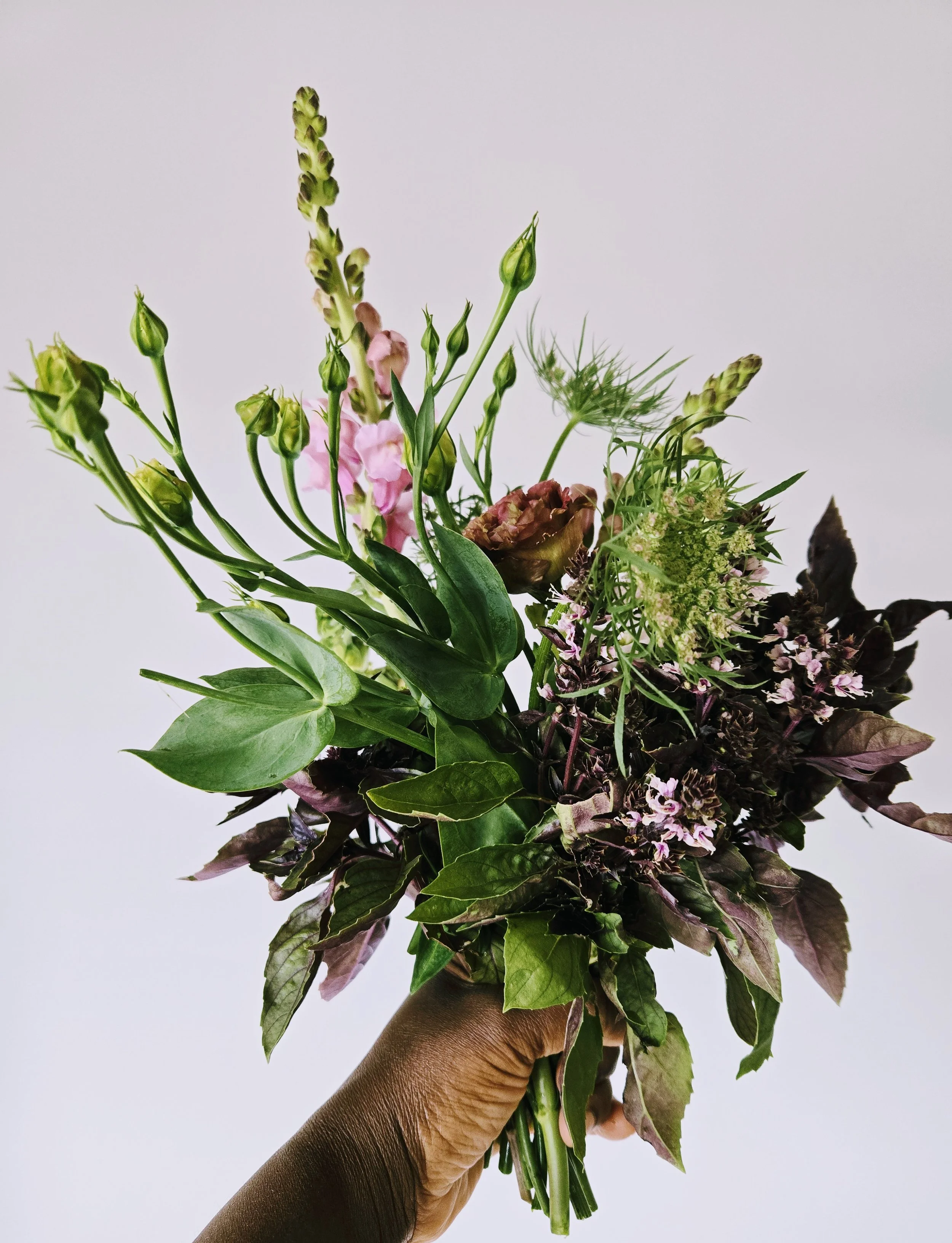 The Bloom Series | Sunday, August 23 | 11 AM