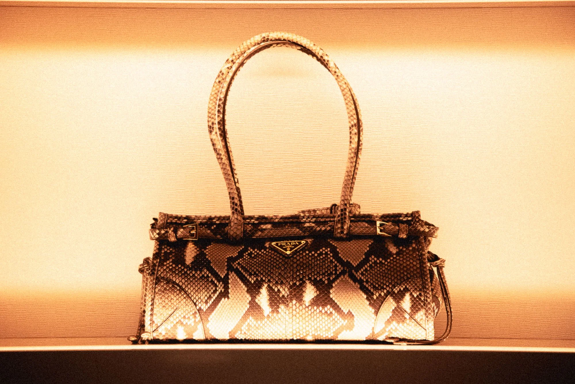 AJ_prada-37.jpg