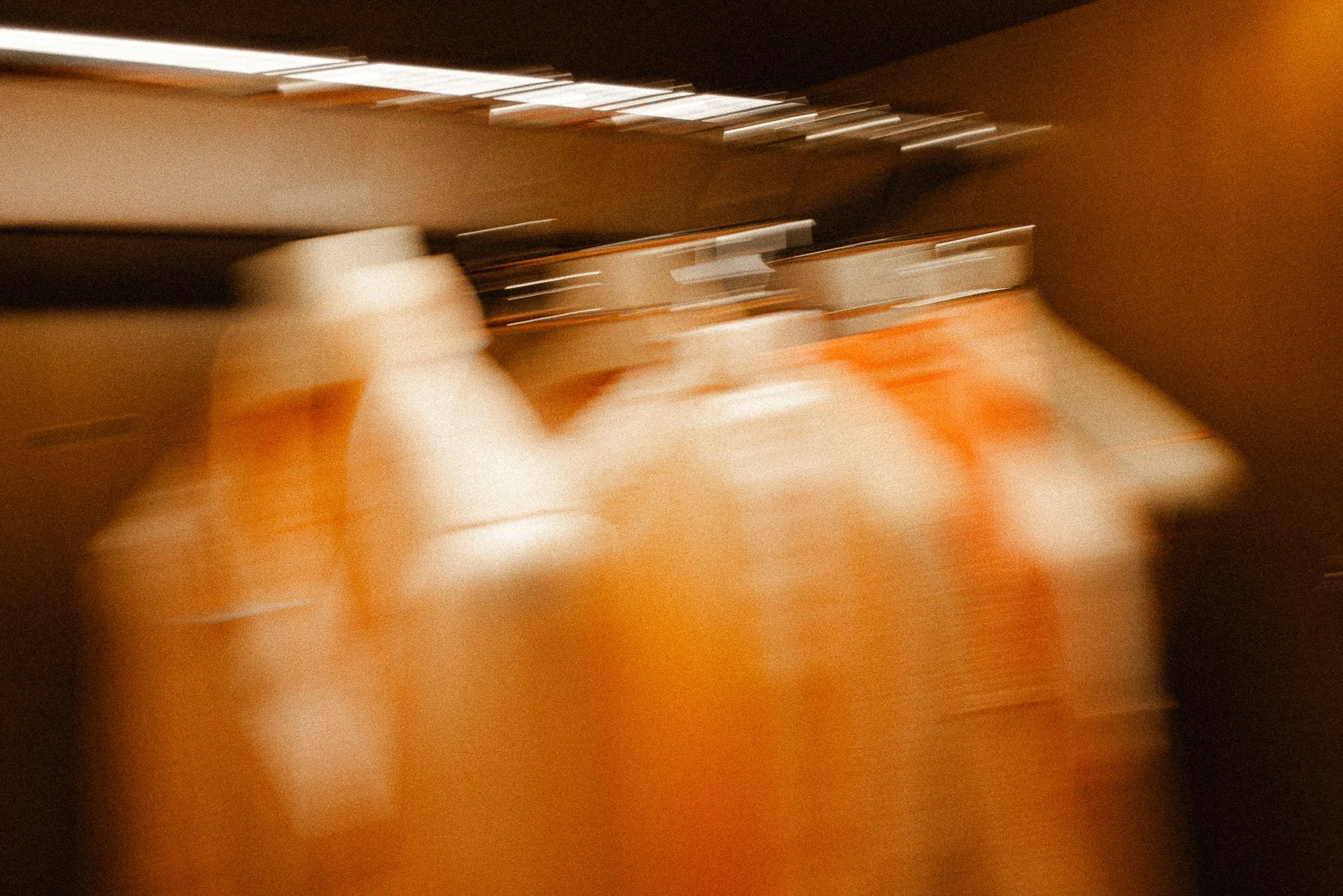 AJ_prada-6.jpg