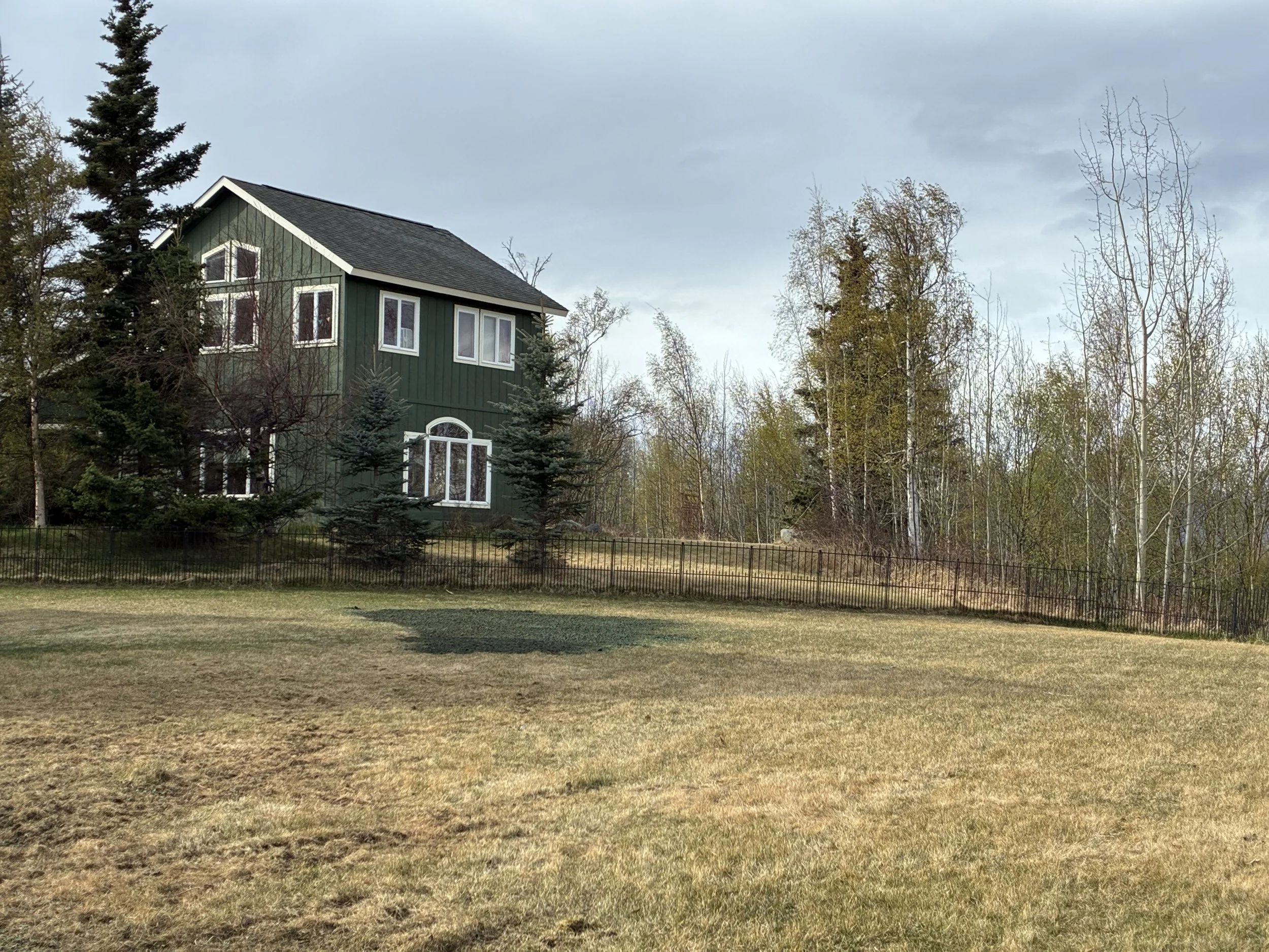 The Best Time to Plant in Alaska for Long-Term Landscape Success