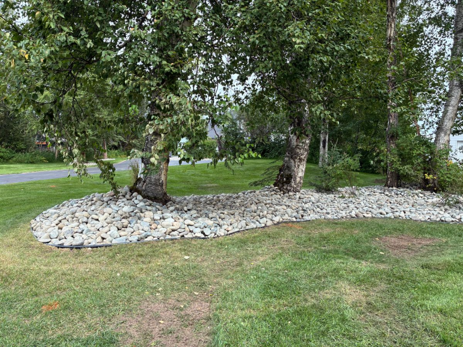 easy-to-maintain-trees-lawn-care-in-Alaska