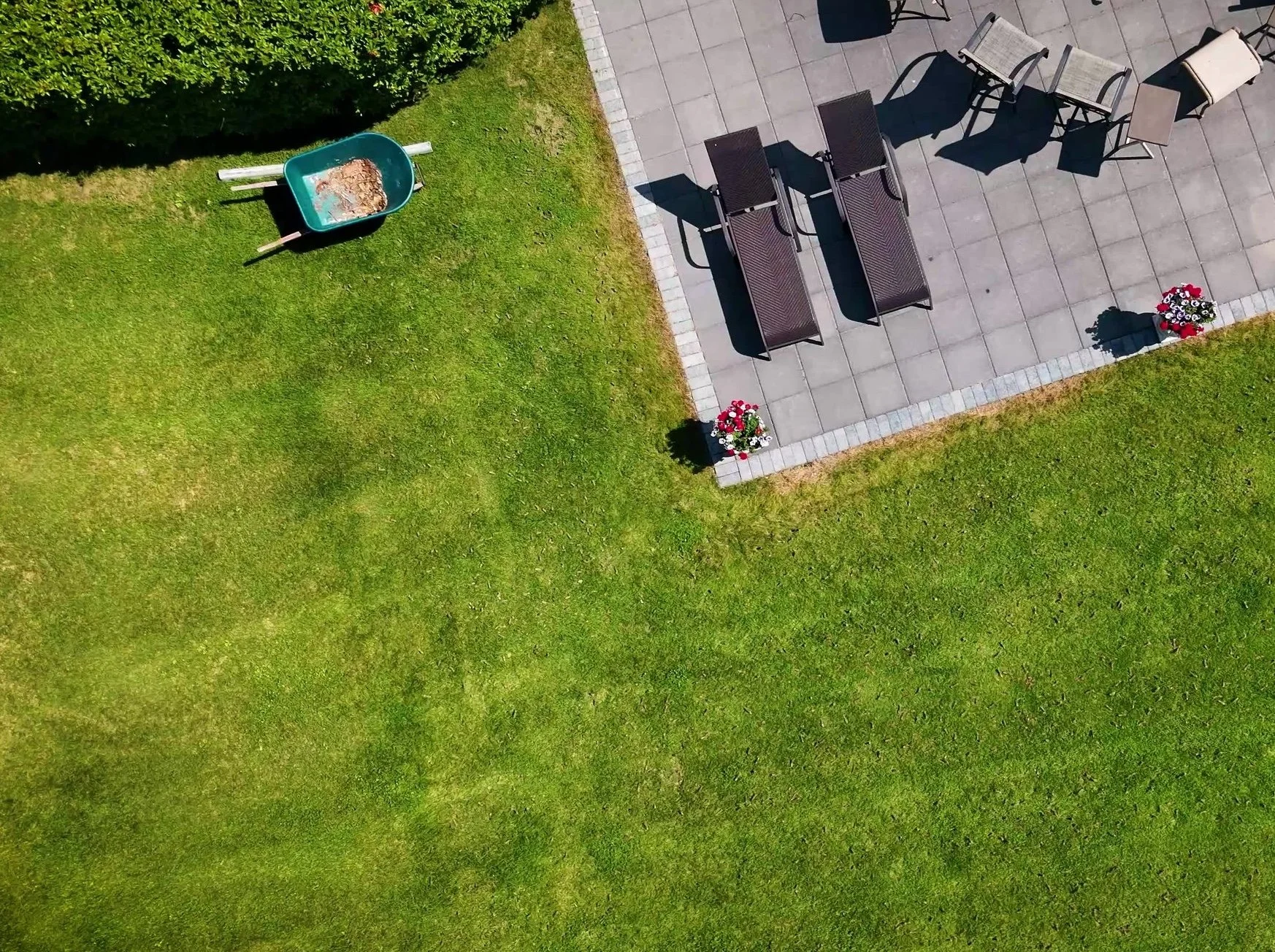 The Best Grass for Lawns in Alaska