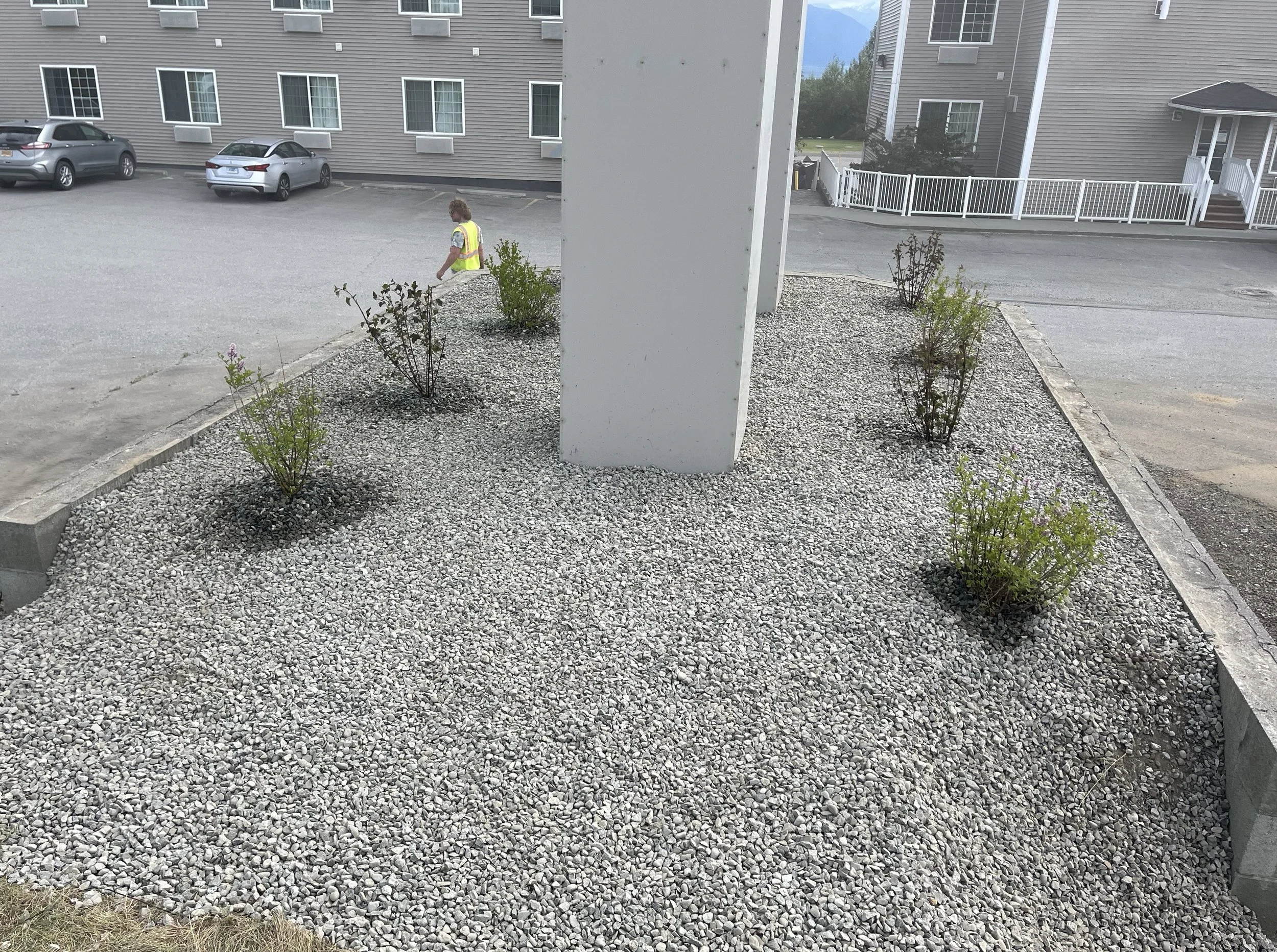 A landscaped area with small bushes surrounded by gravel, adjacent to a parking lot with parked cars, in front of a multi-story residential building.