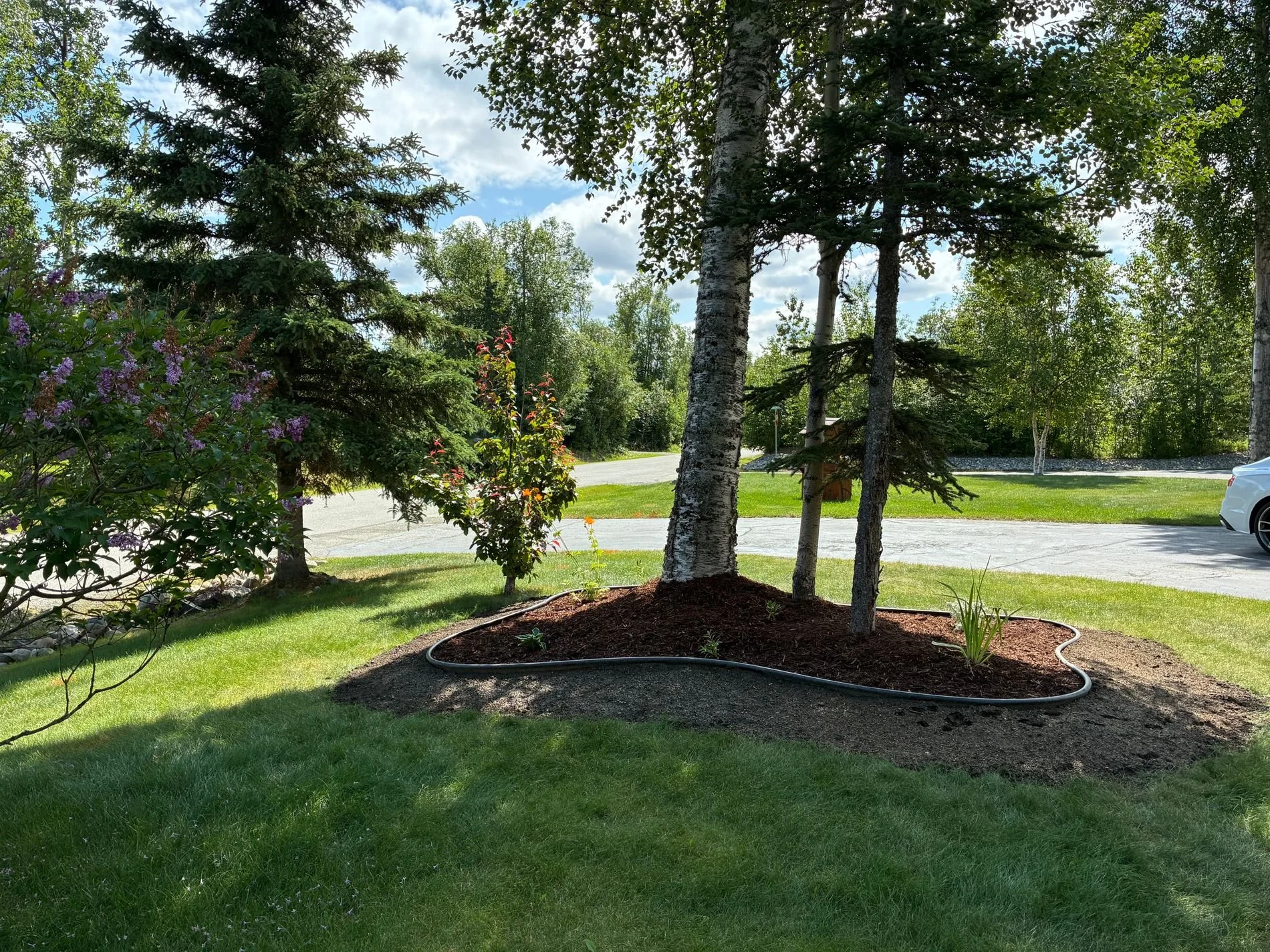 front-yard-driveway-walker-landscaping