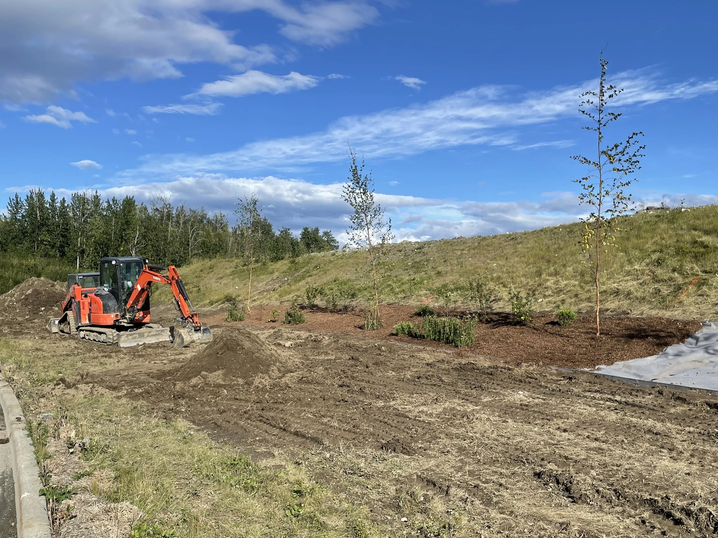 Commercial landscaping using mini excavator and newly planted trees for Commercial landscaping in Alaska by Walker Landscapes.