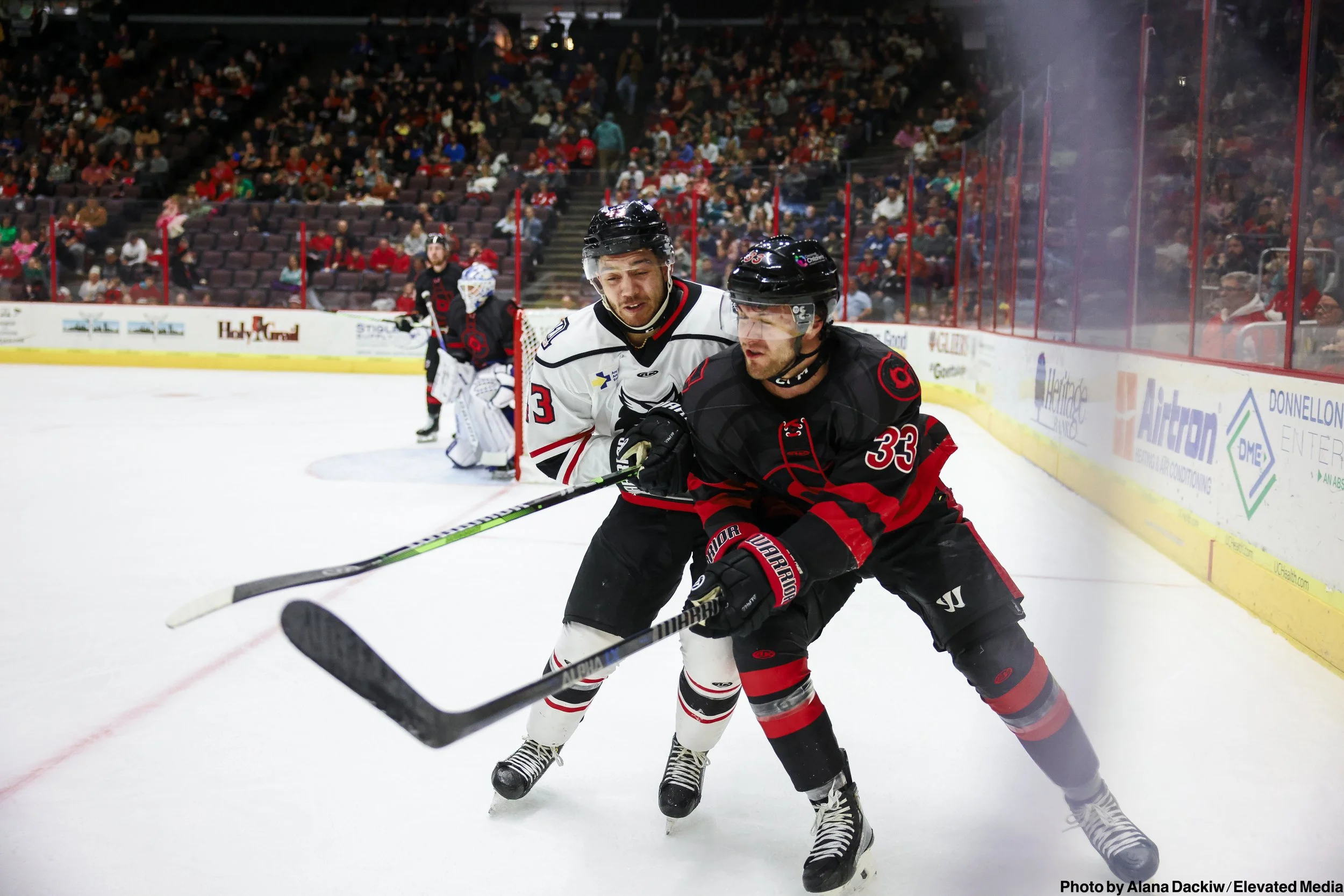   Alana Dackiw, Elevated Media  