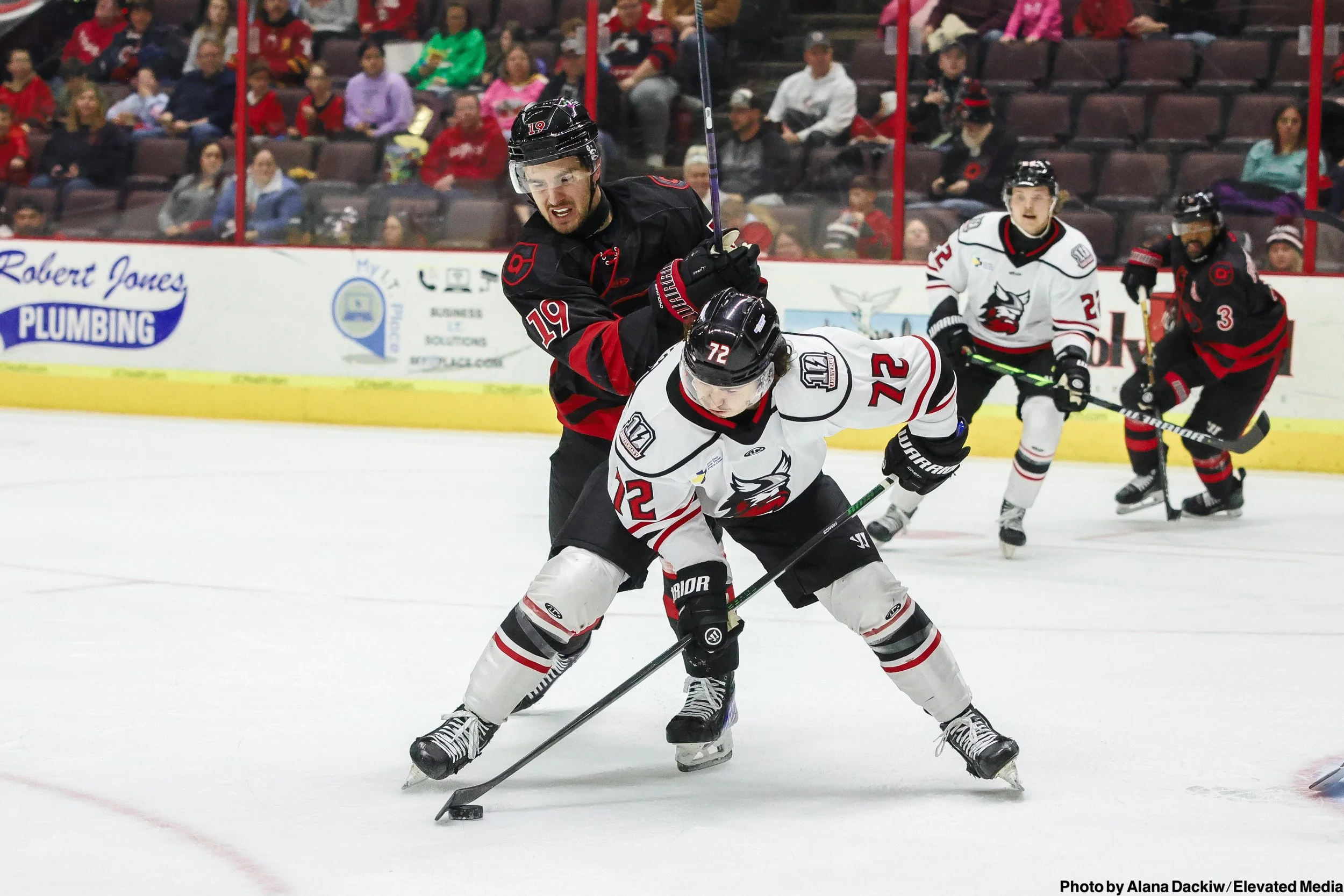   Alana Dackiw, Elevated Media  