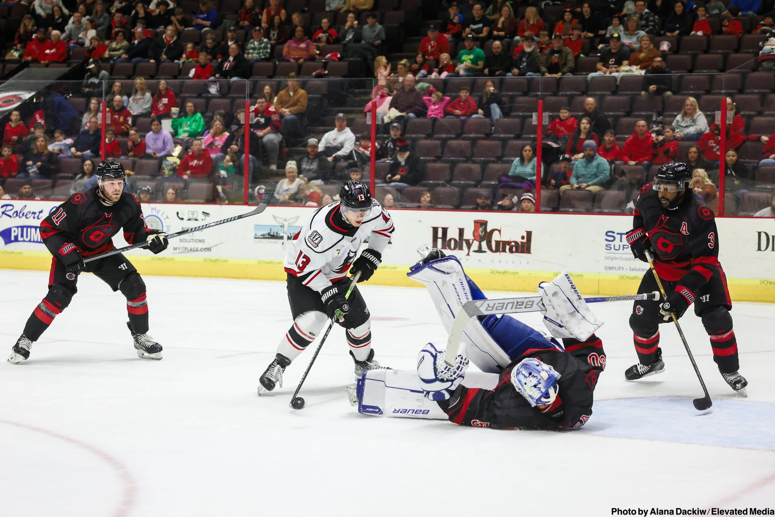   Alana Dackiw, Elevated Media  