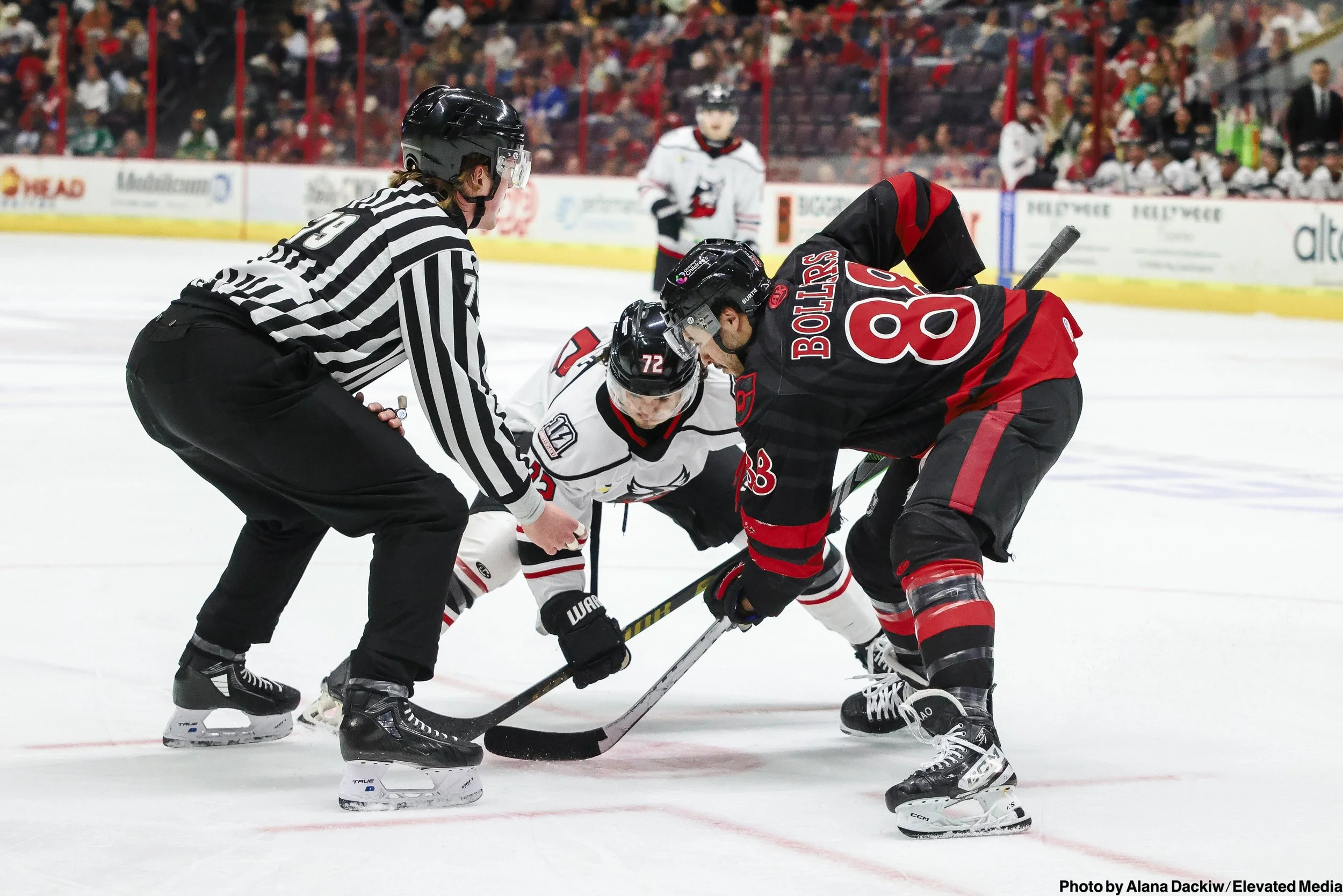   Alana Dackiw, Elevated Media  