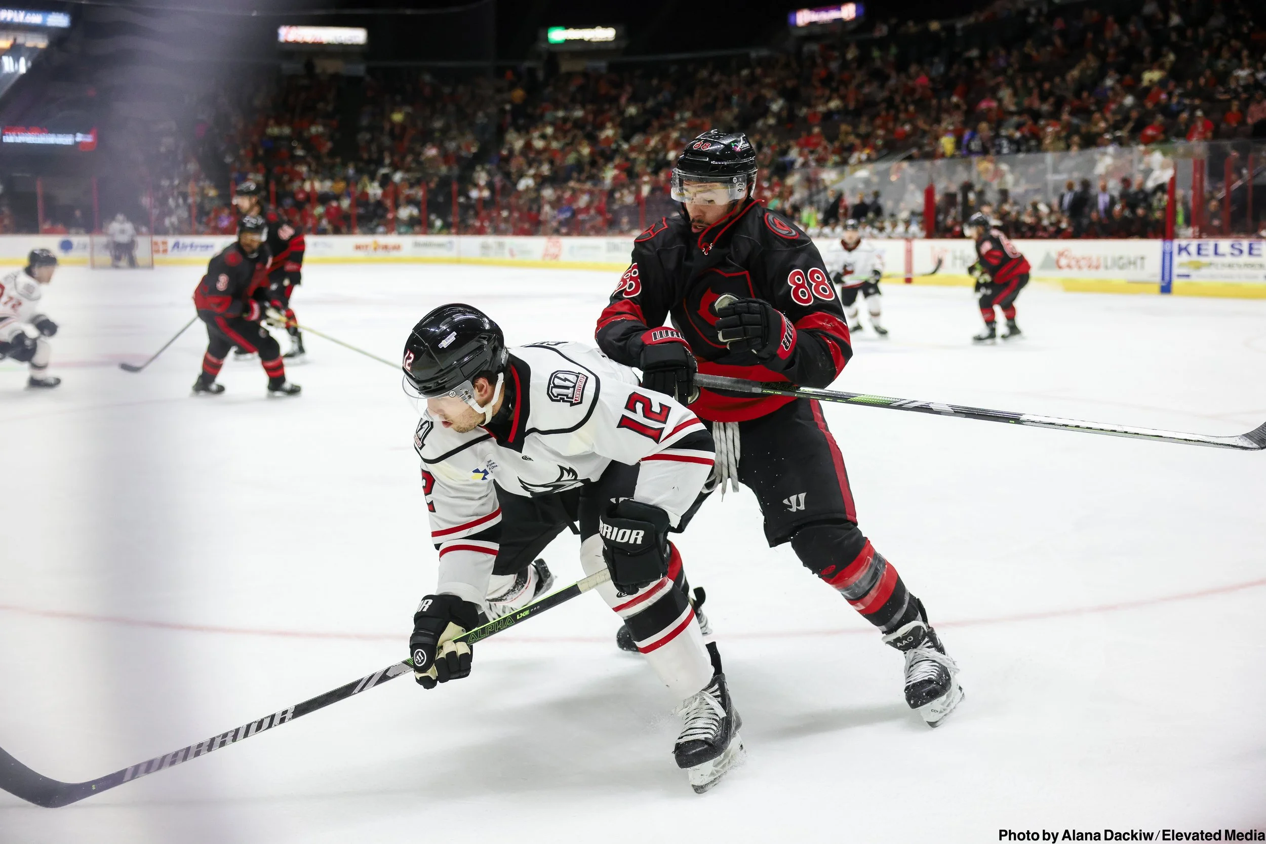   Alana Dackiw, Elevated Media  