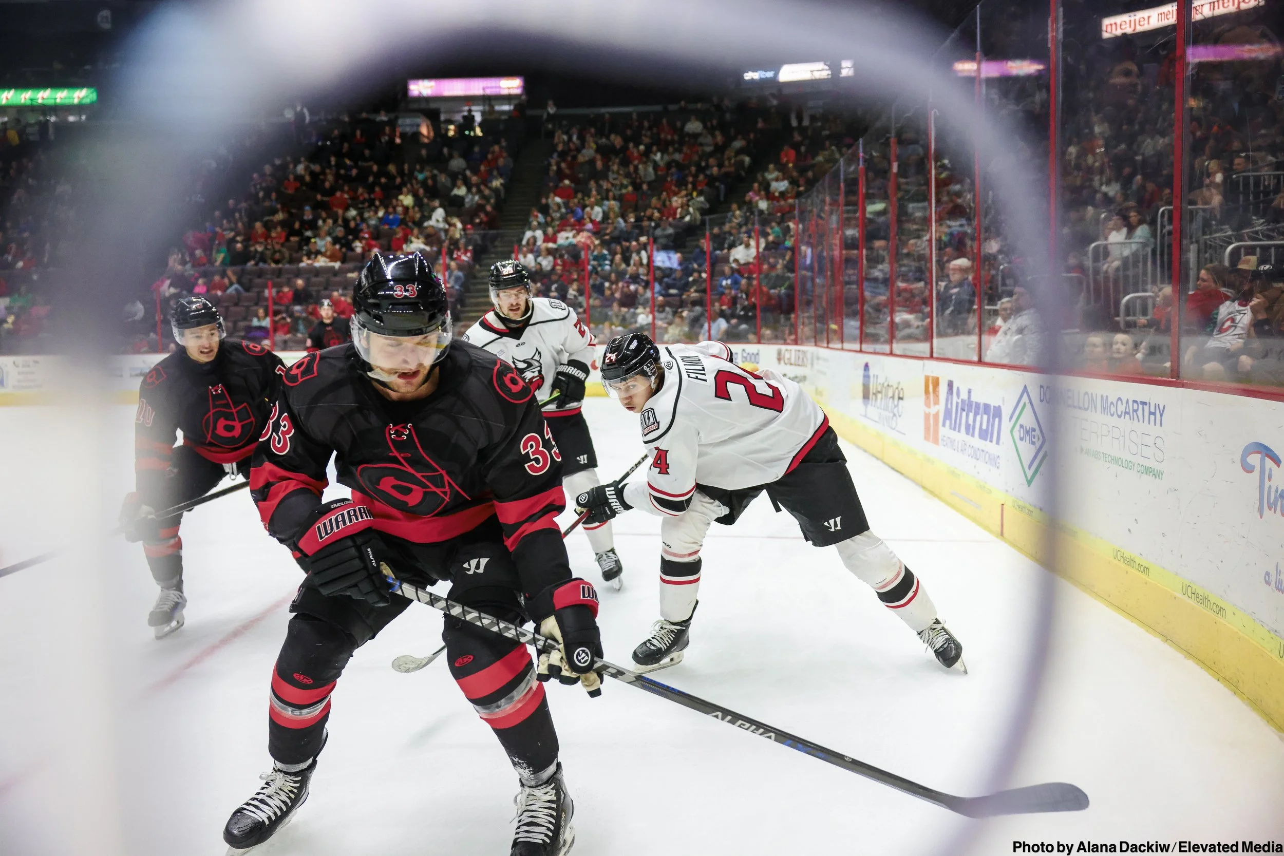   Alana Dackiw, Elevated Media  