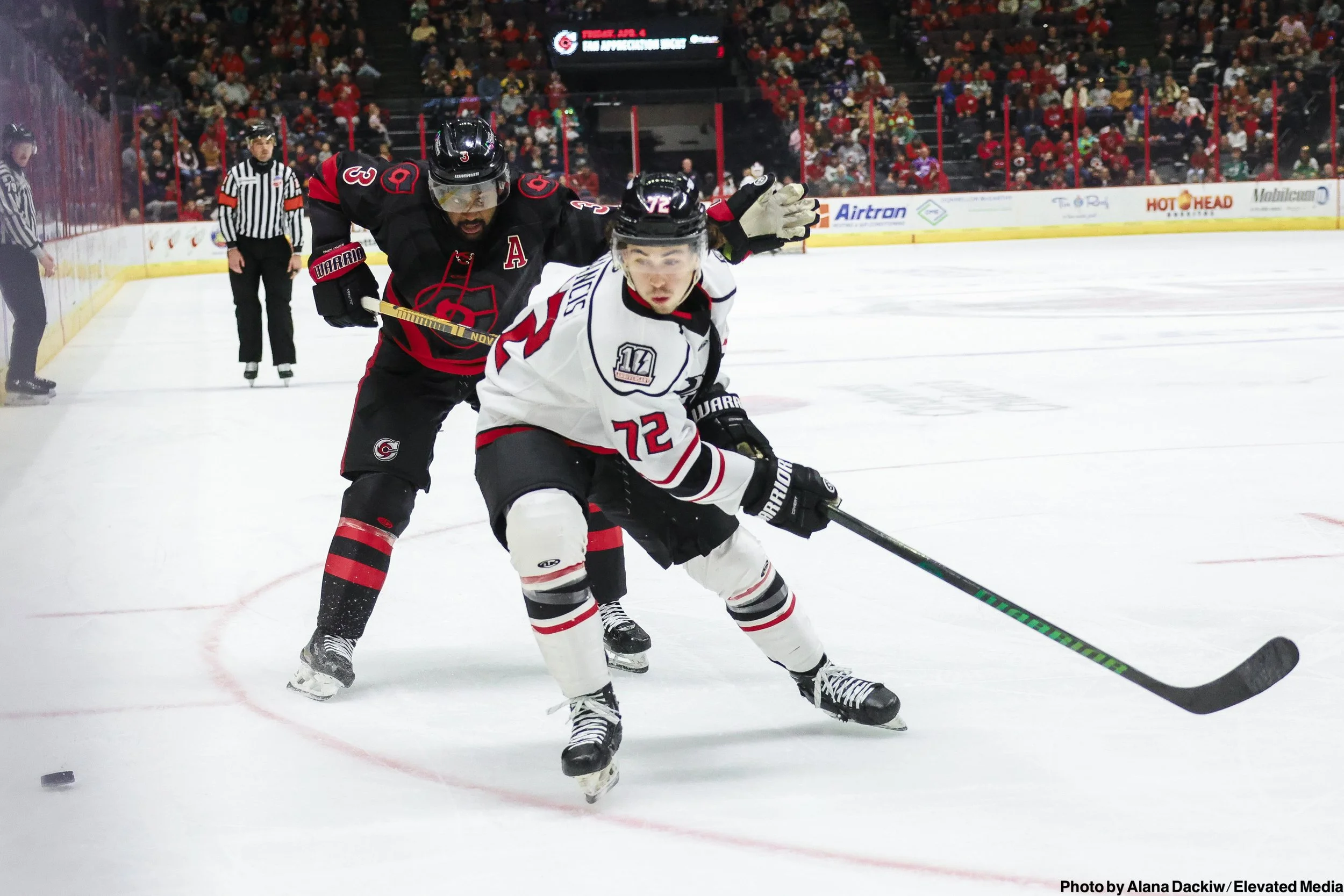   Alana Dackiw, Elevated Media  