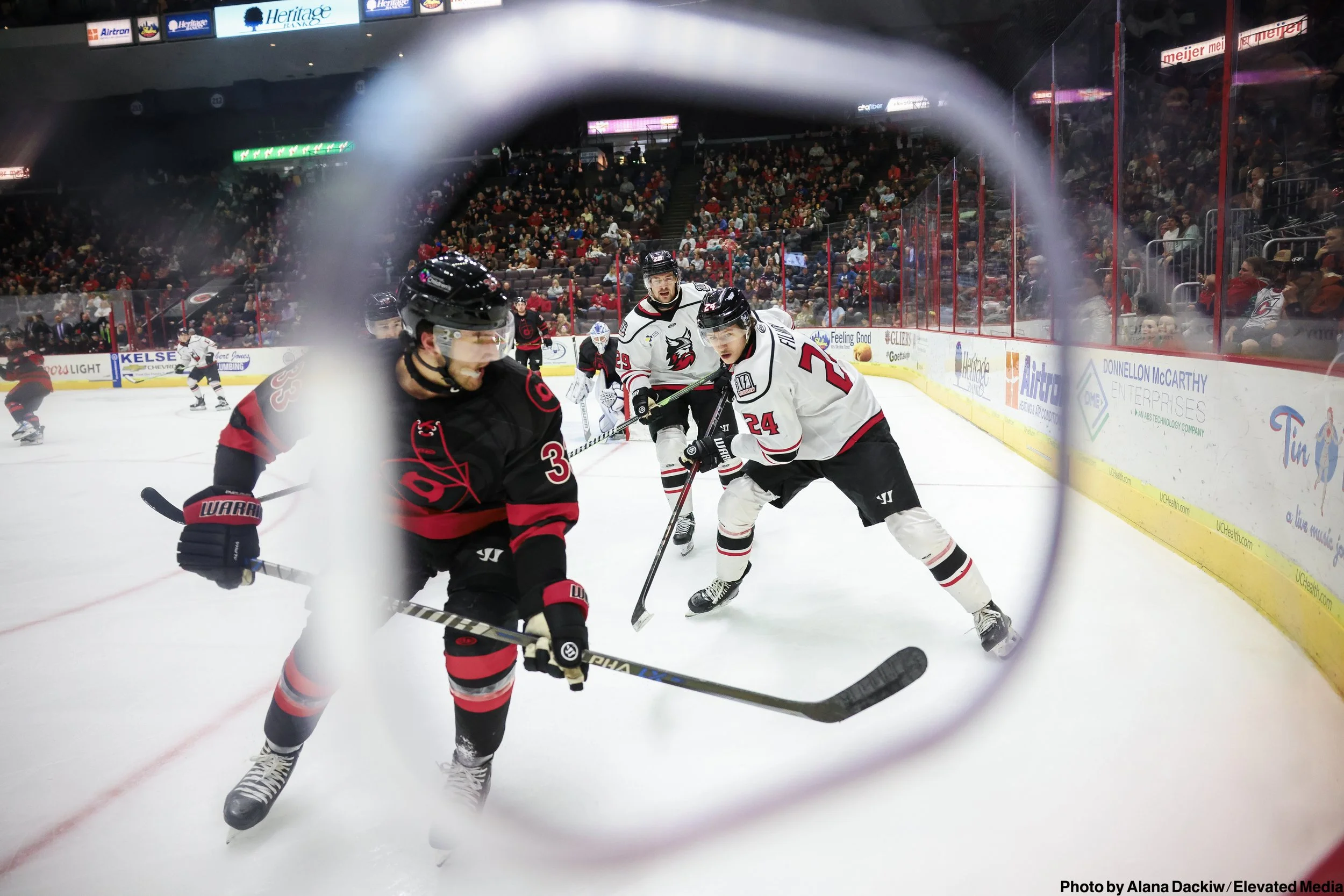   Alana Dackiw, Elevated Media  